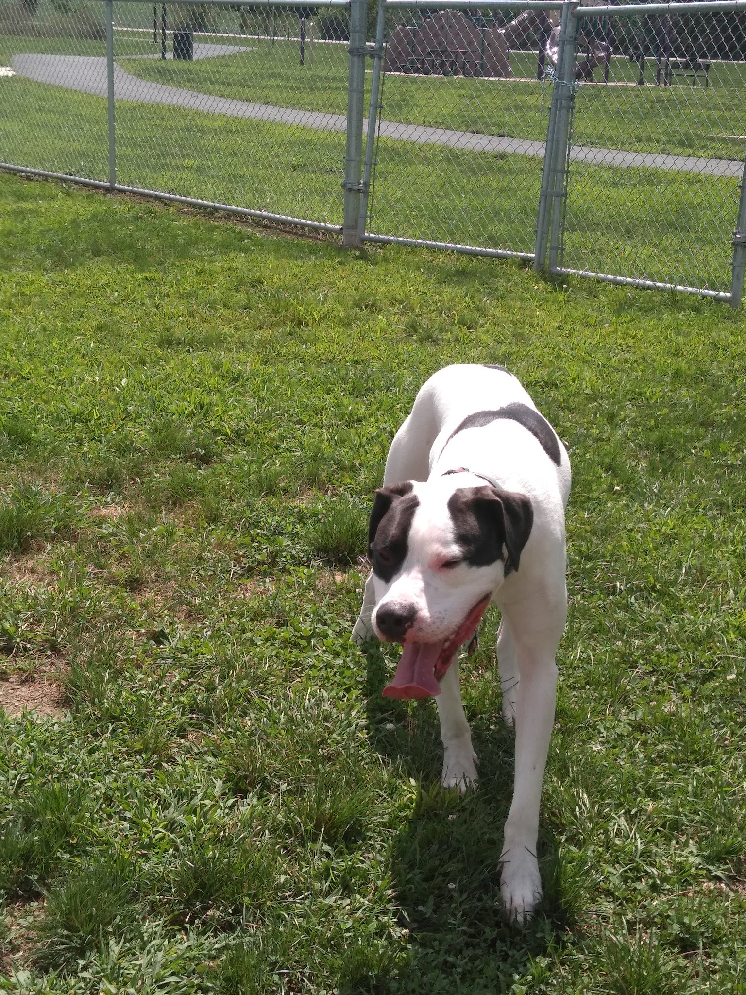 Dillsburg Community Park - Dillsburg, PA