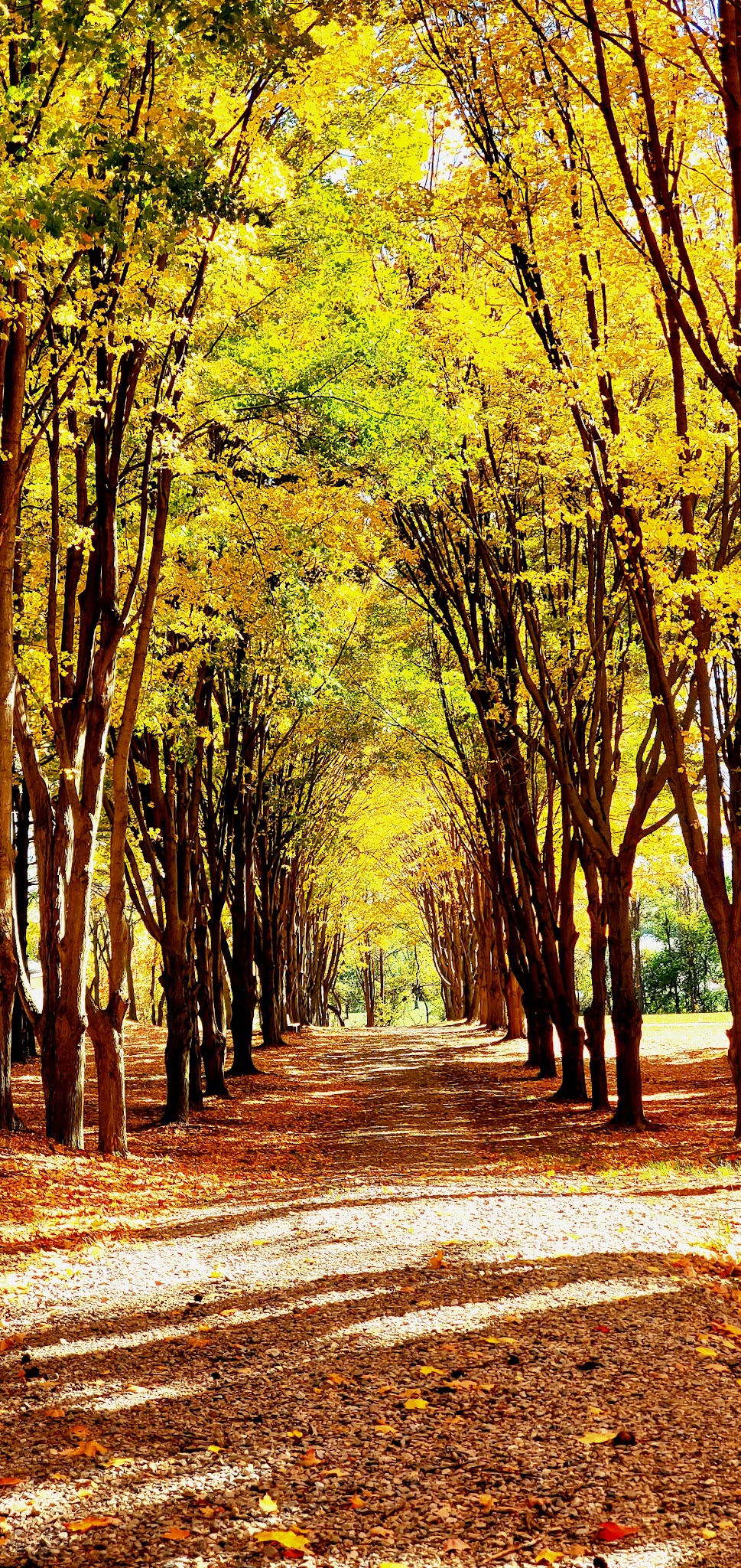 Ponderosa Park - Dillsburg, PA