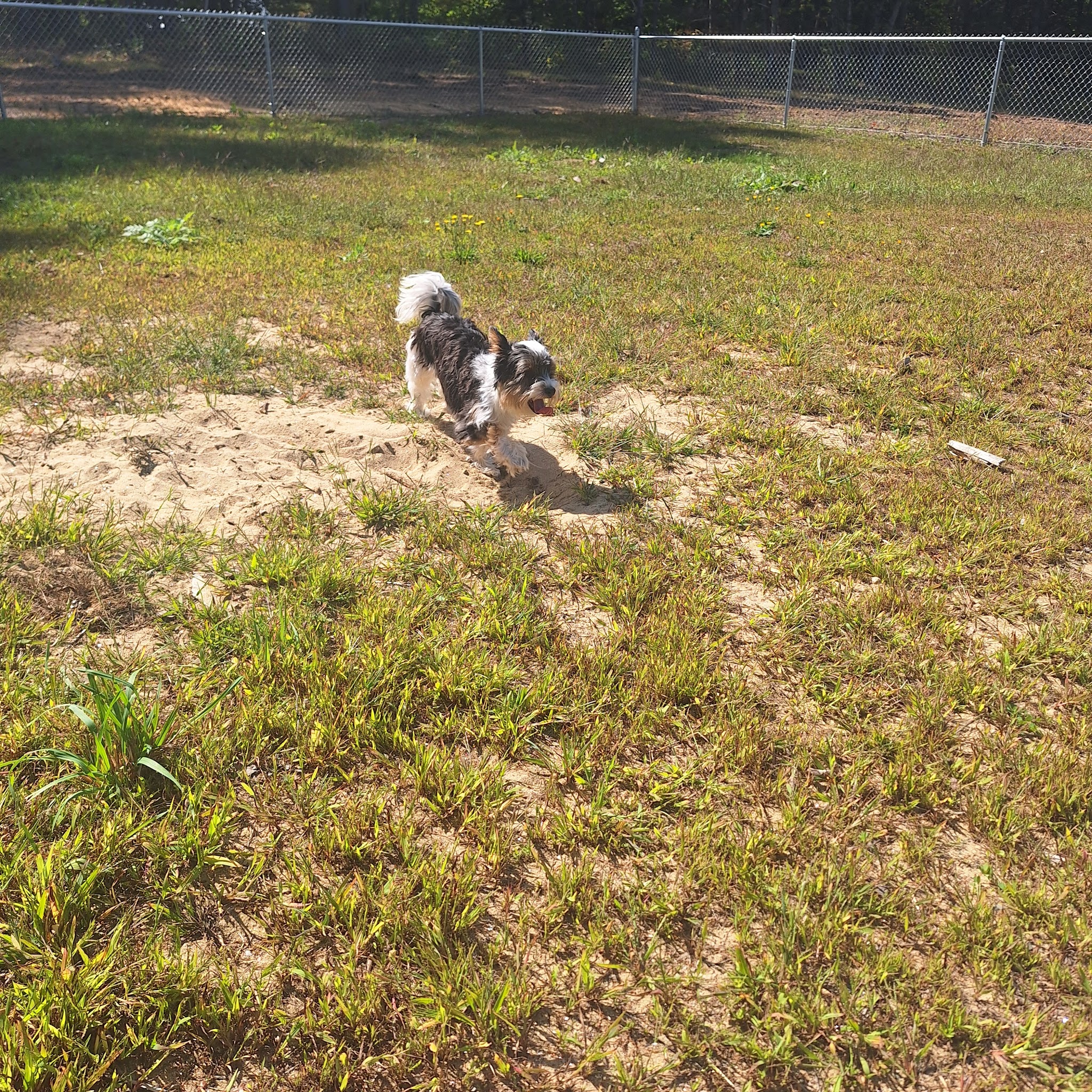 McGouldrick Park Skating Rink - Dixfield, ME