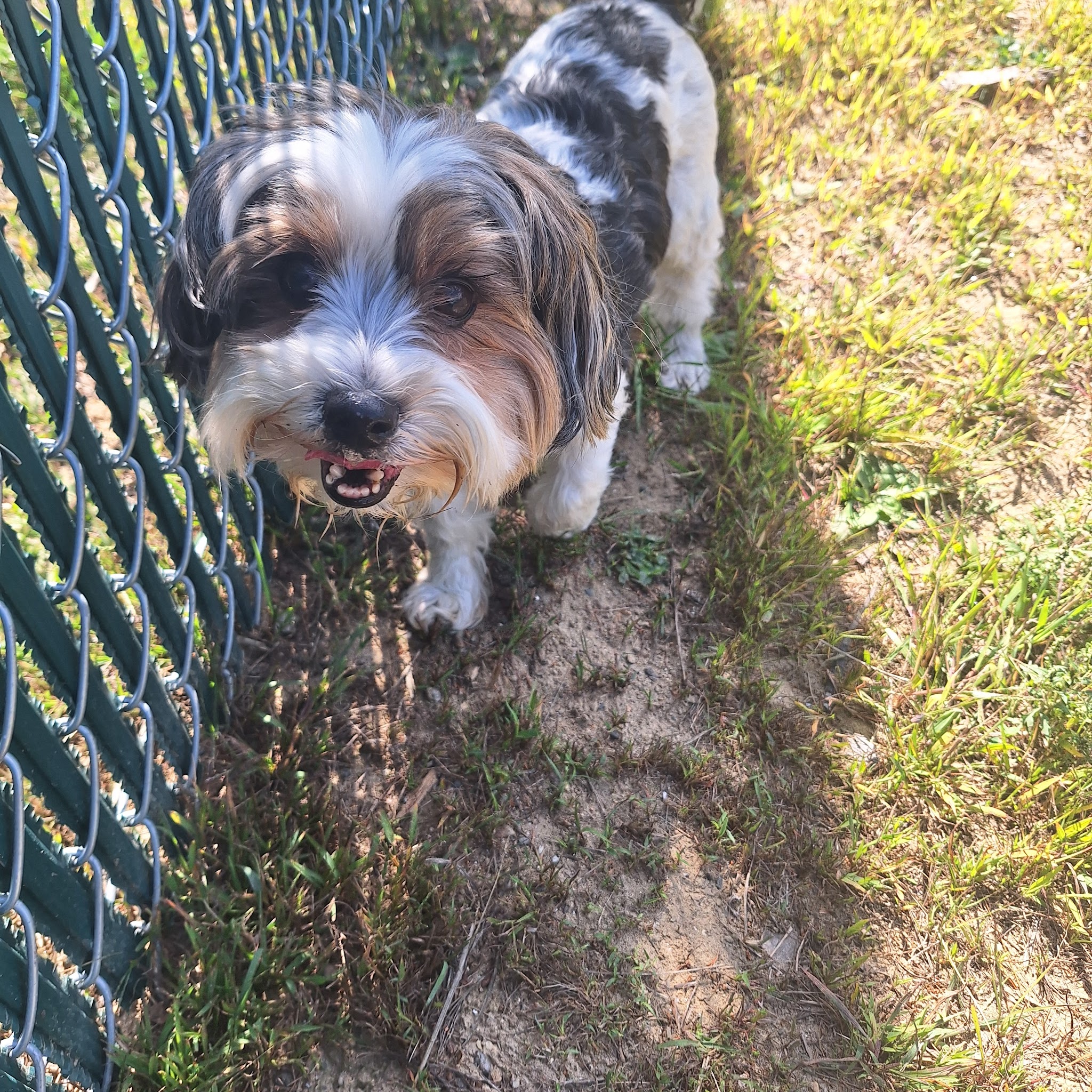 McGouldrick Park Skating Rink - Dixfield, ME