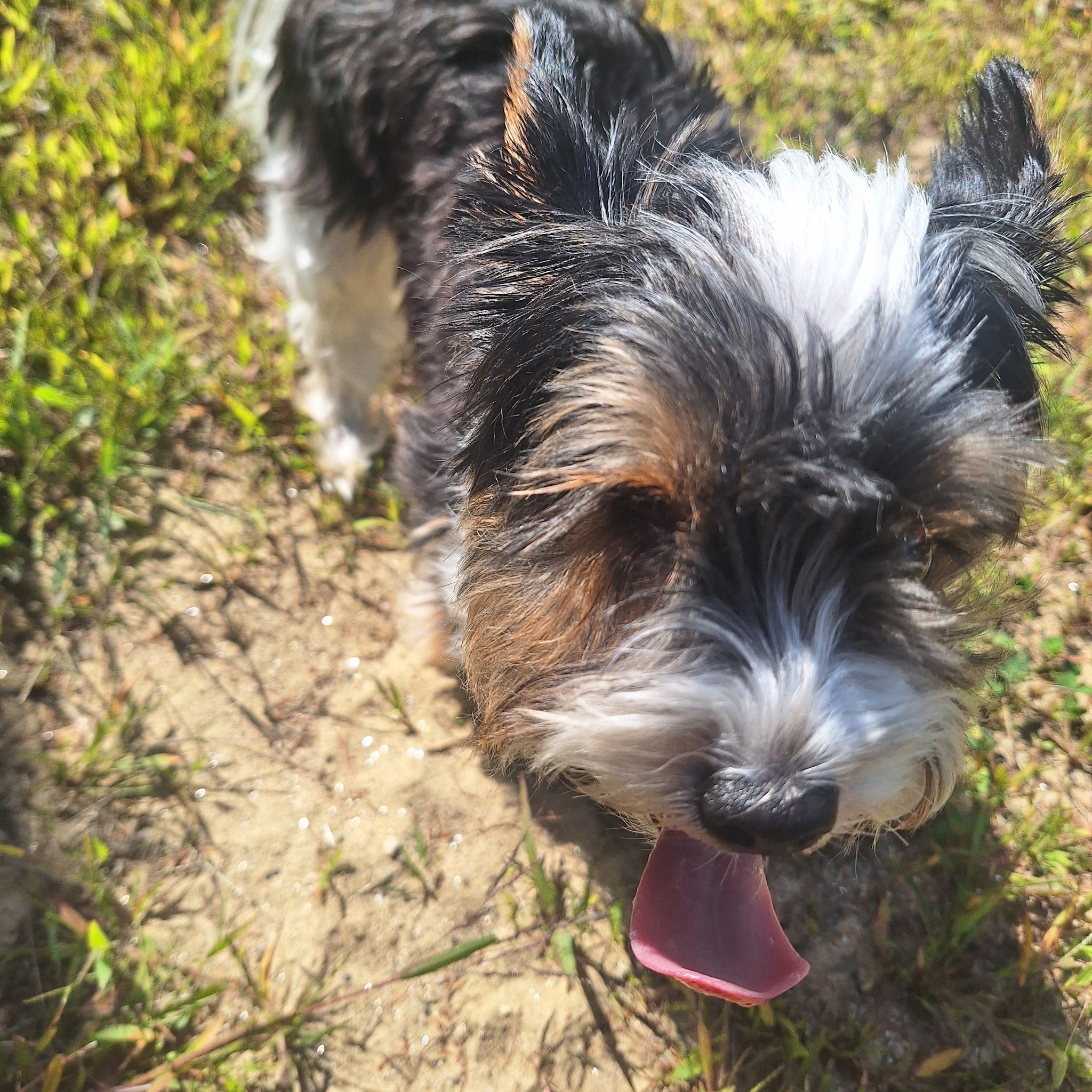 McGouldrick Park Skating Rink - Dixfield, ME