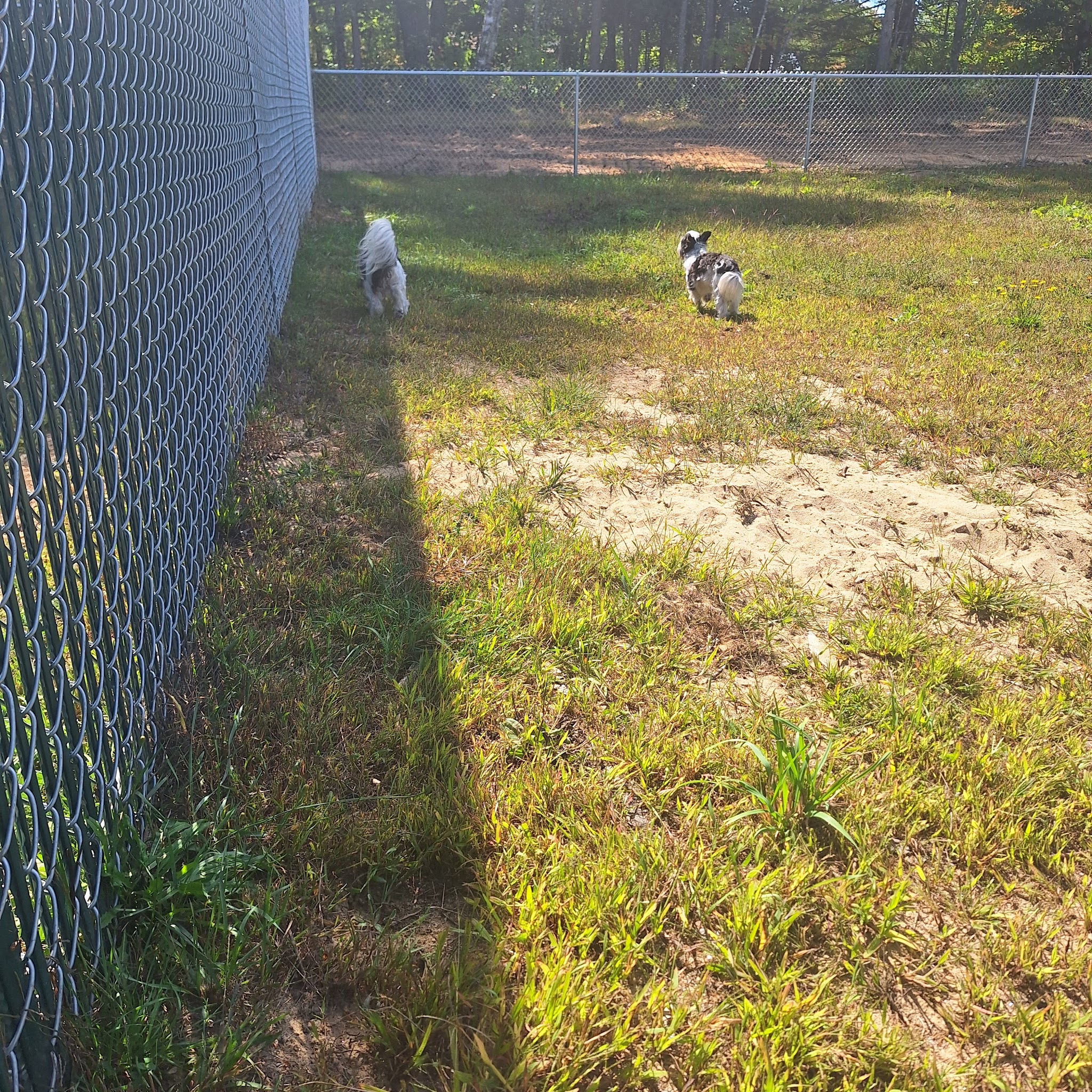 McGouldrick Park Skating Rink - Dixfield, ME