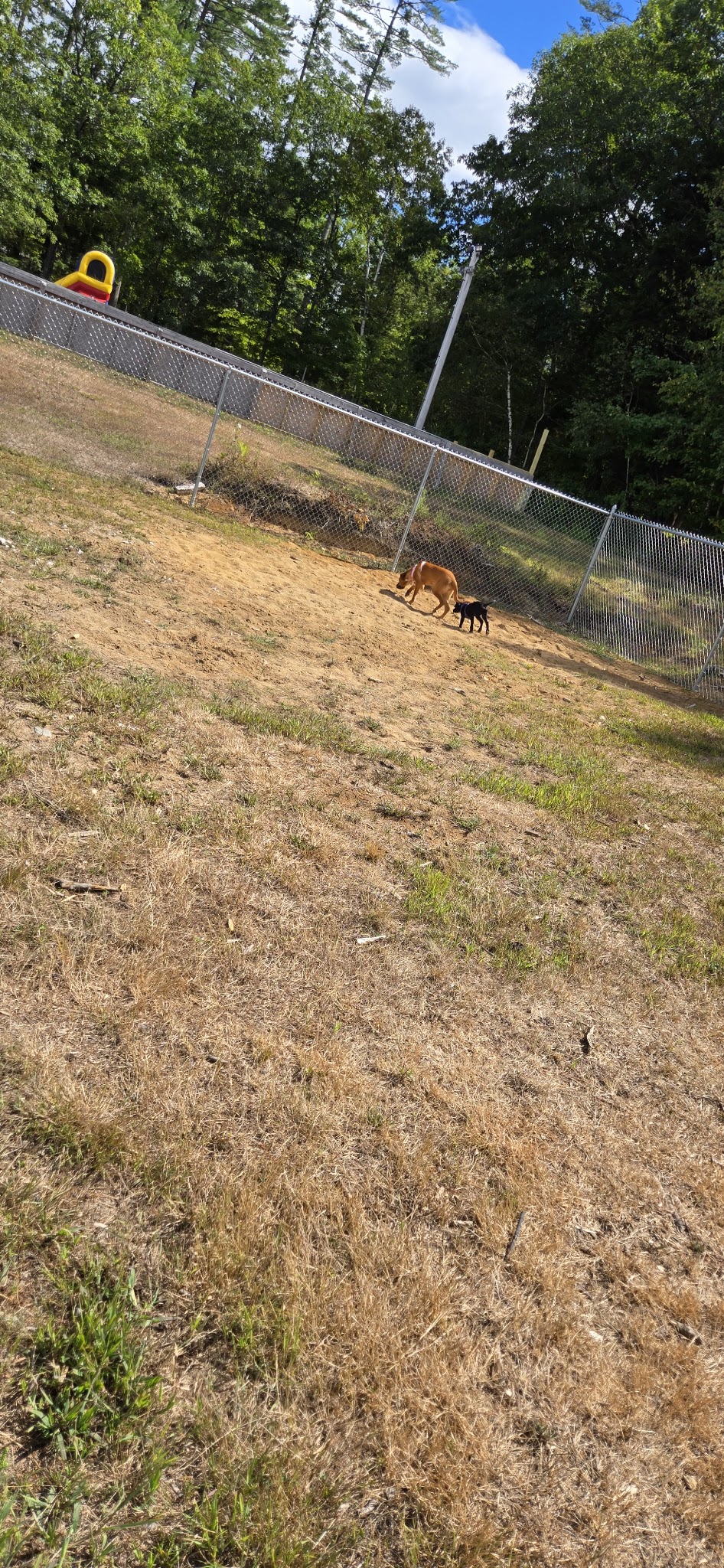 McGouldrick Park Skating Rink - Dixfield, ME