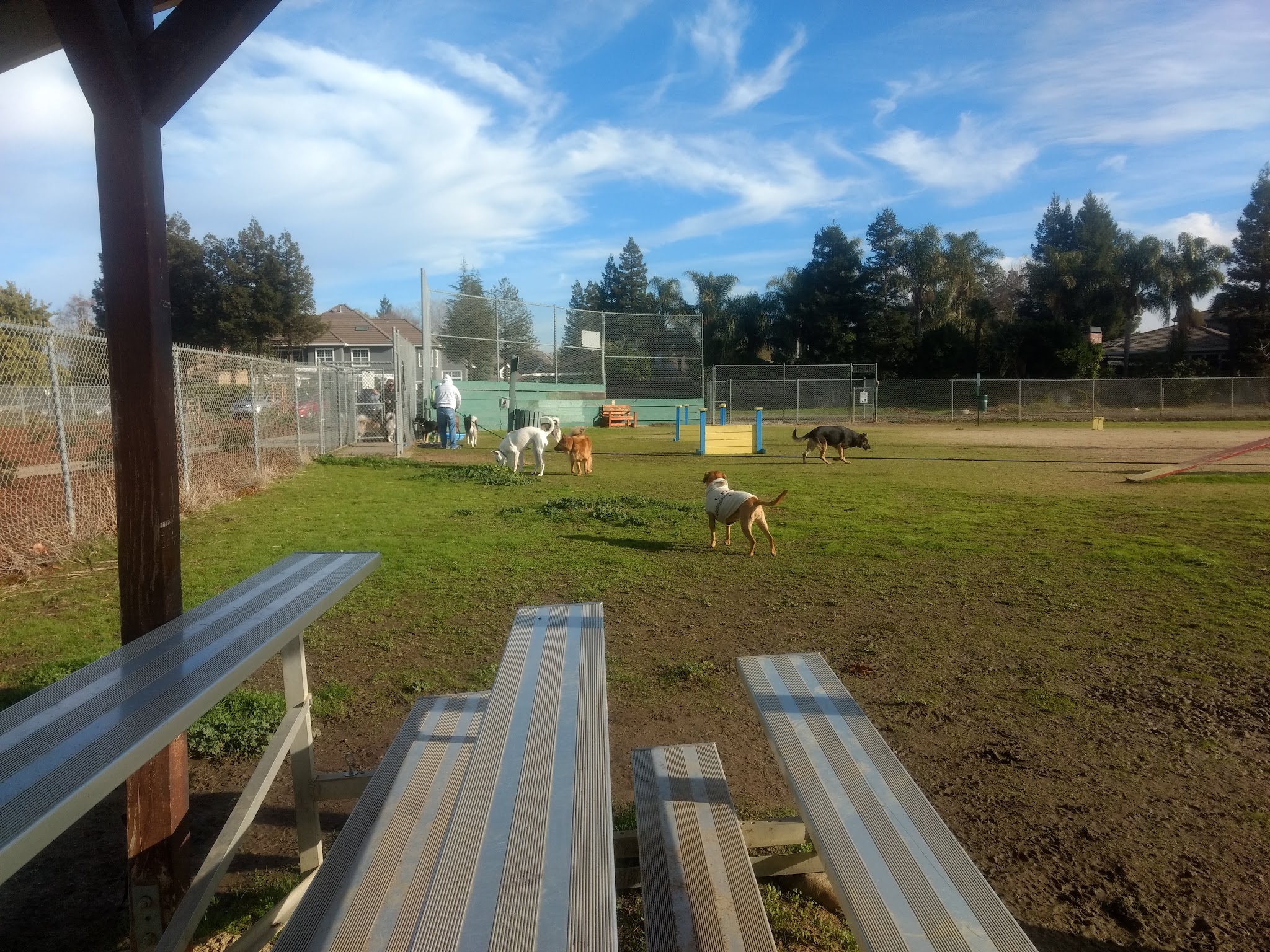 Hall Park Off Leash Dog Park - Dixon, CA
