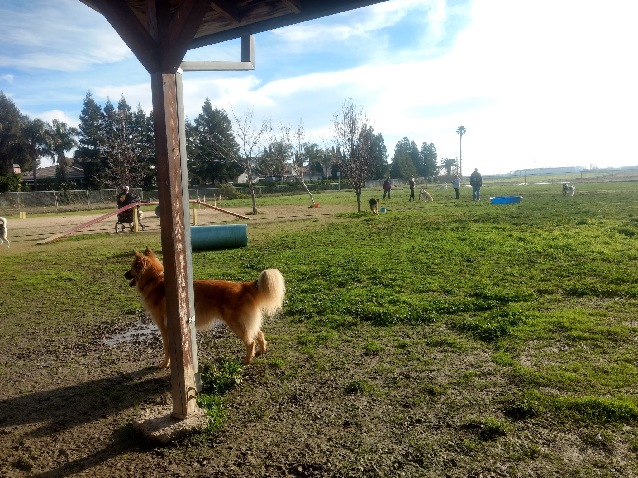 Hall Park Off Leash Dog Park - Dixon, CA