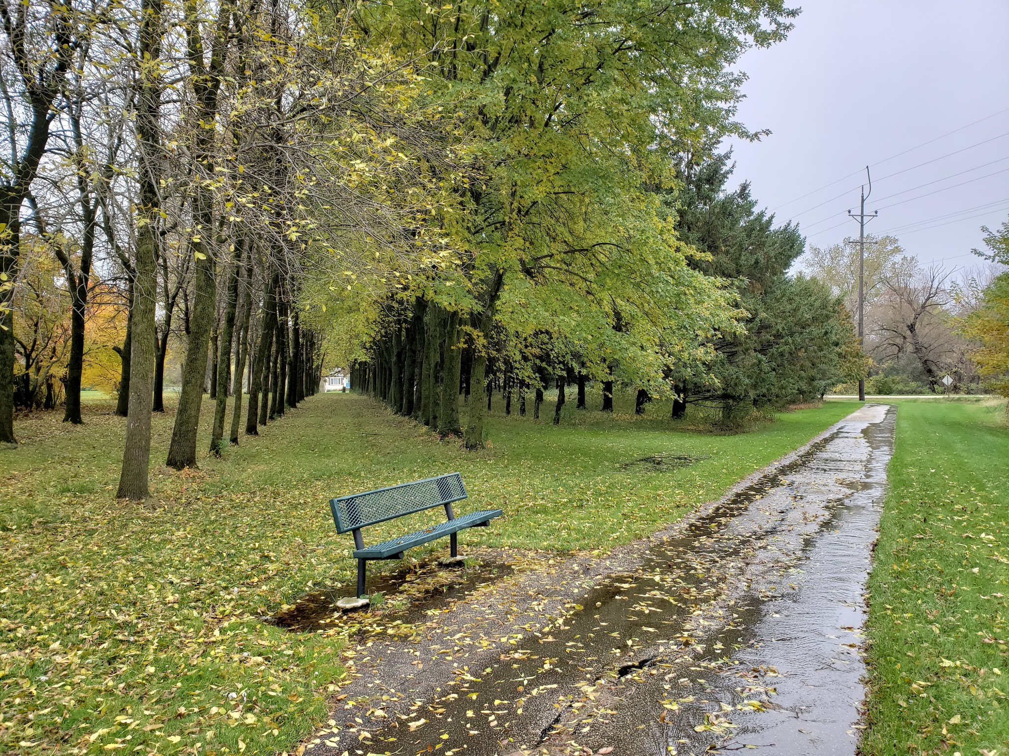 North Park - Dodge Center, MN
