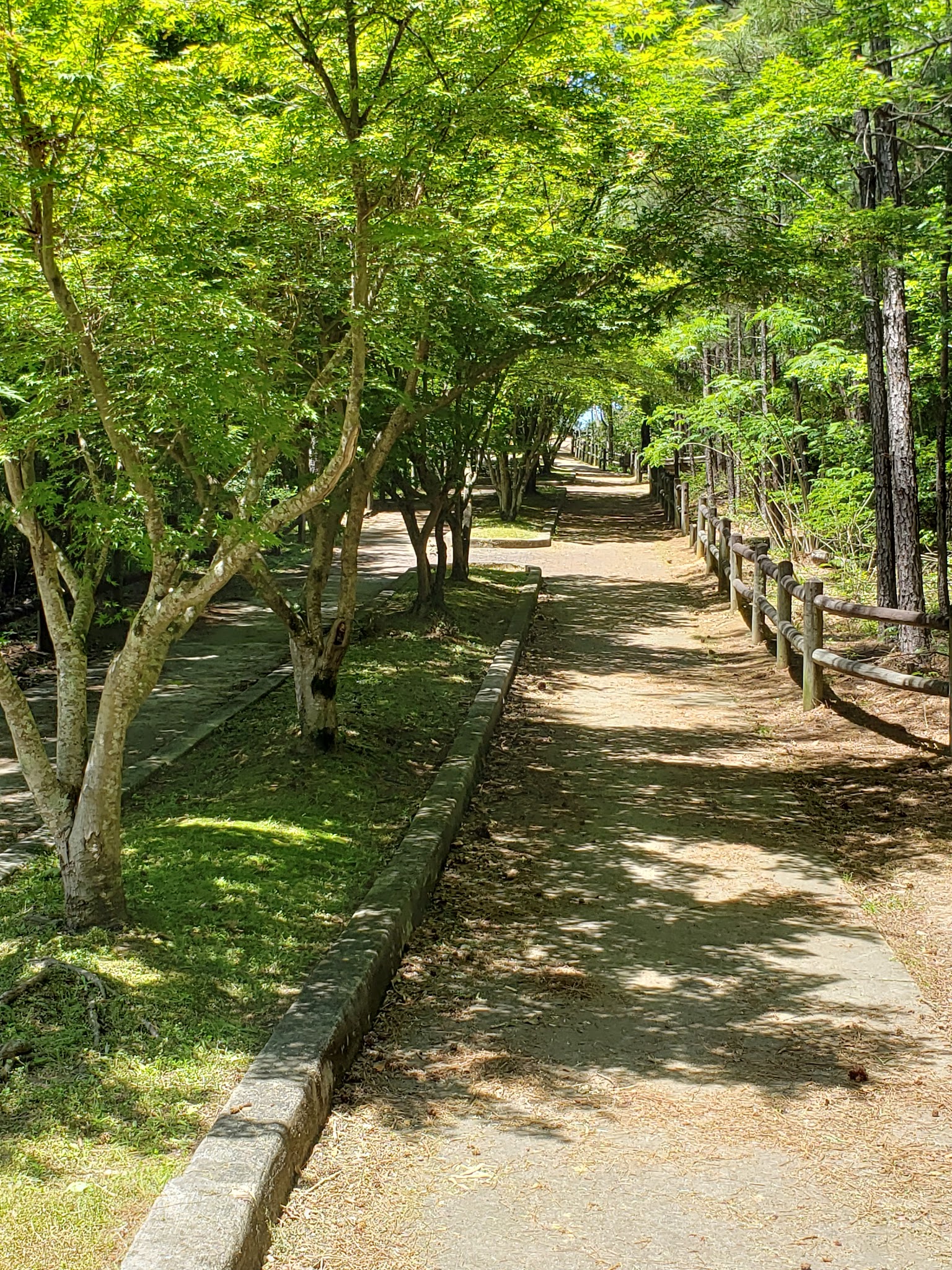 Dora Walking Track - Dora, AL