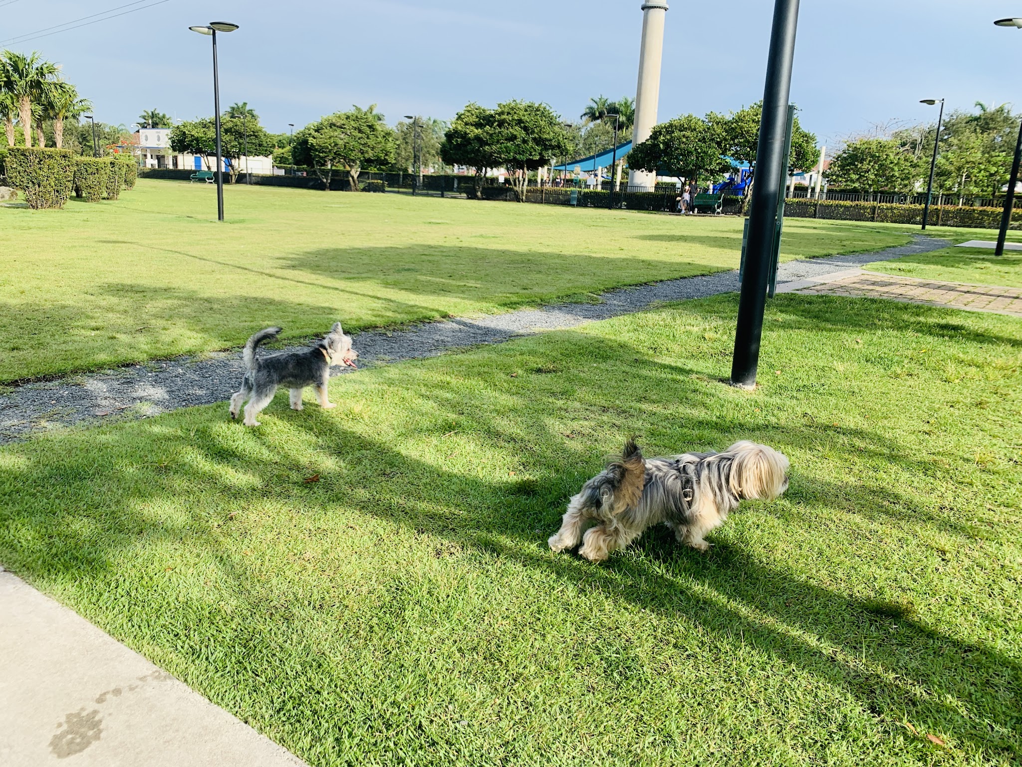 Trails & Tails Park - Doral, FL