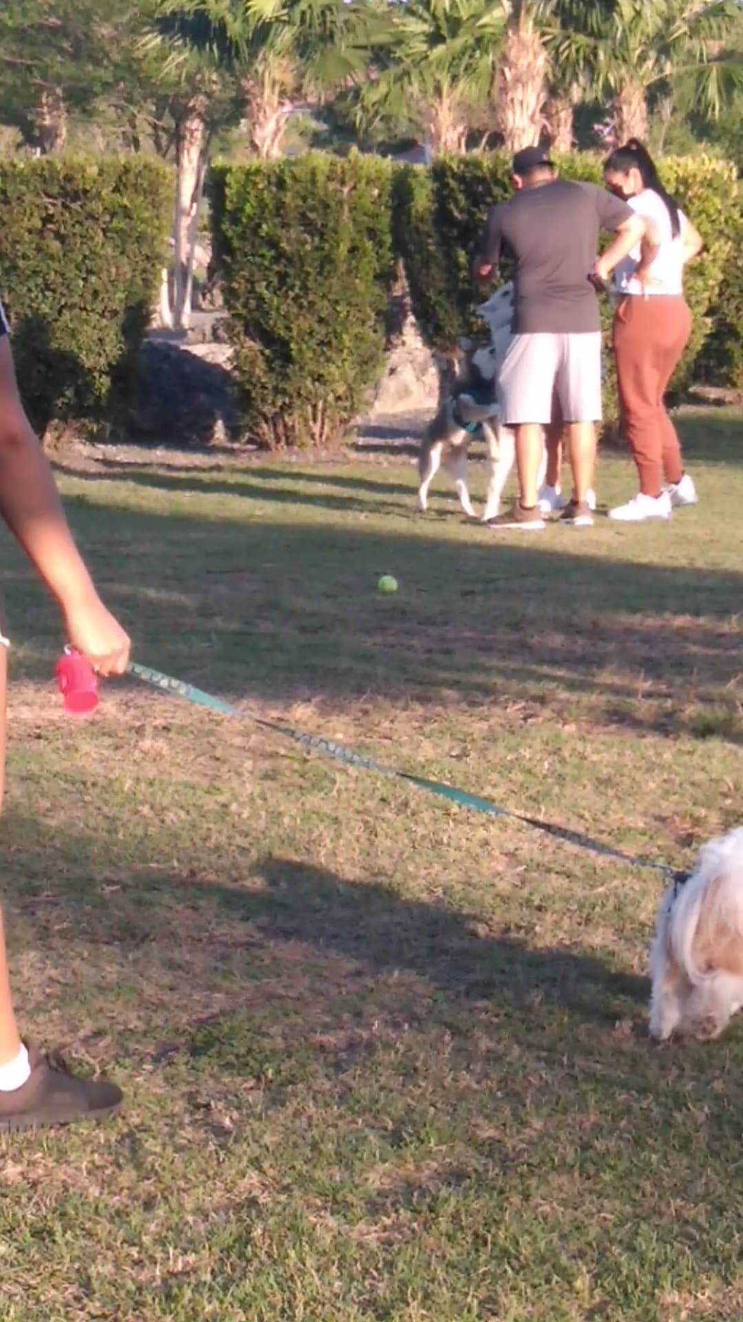 Trails & Tails Park - Doral, FL