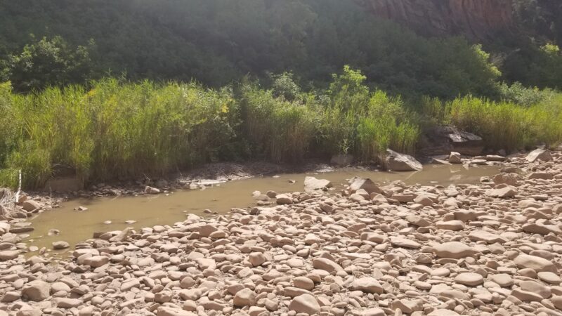 Dove Creek Camp Spot - Dove Creek, CO