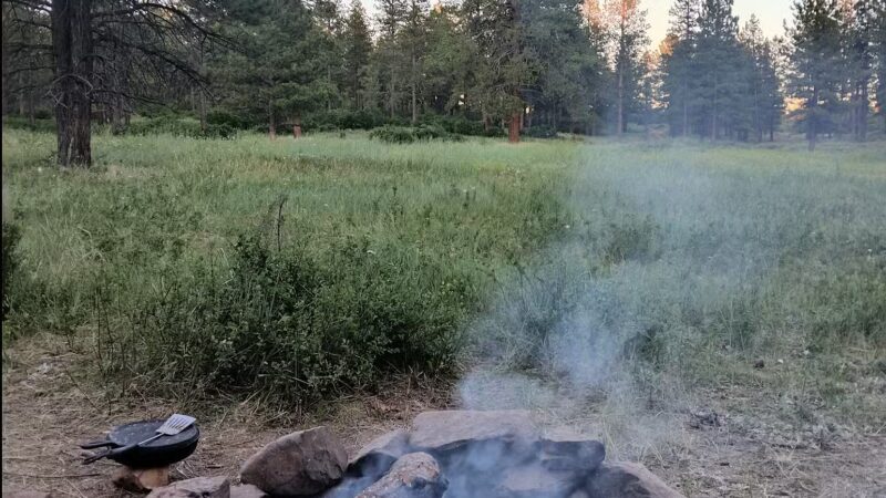 Dove Creek Camp Spot - Dove Creek, CO