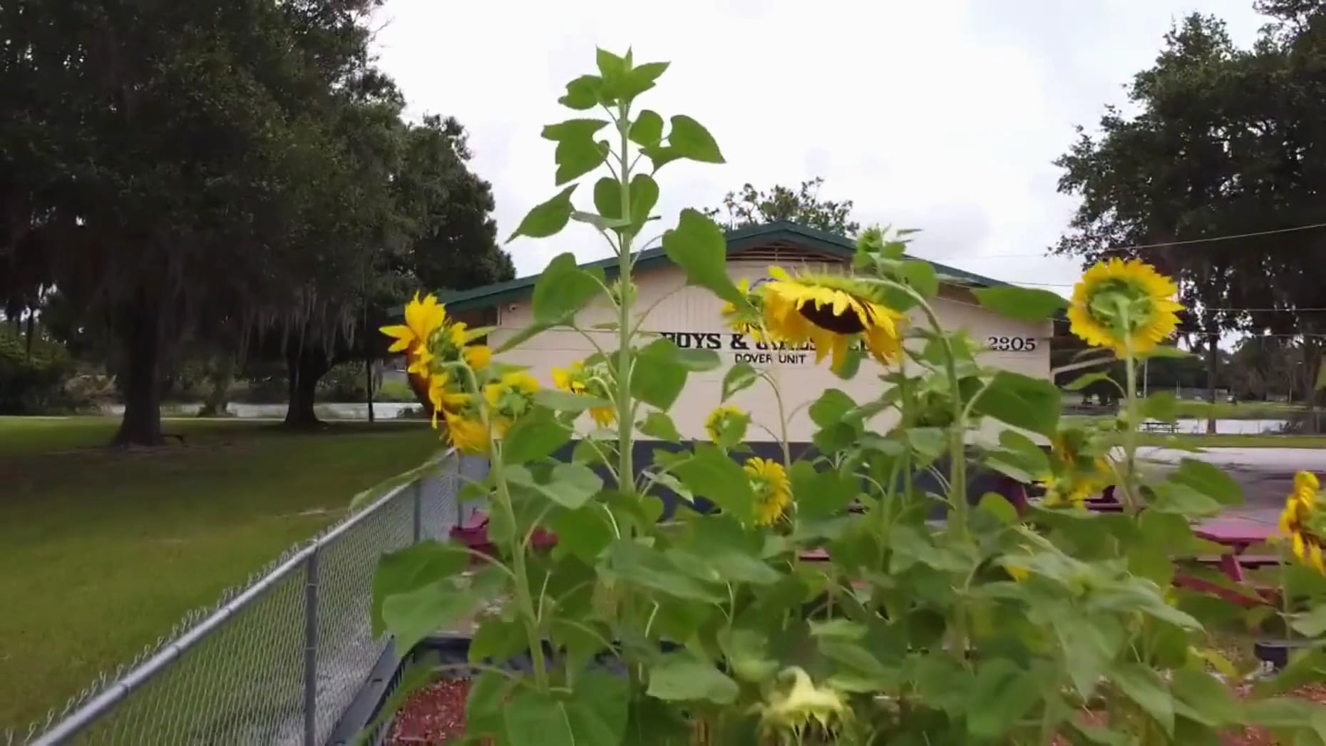 Dover District Park - Dover, FL