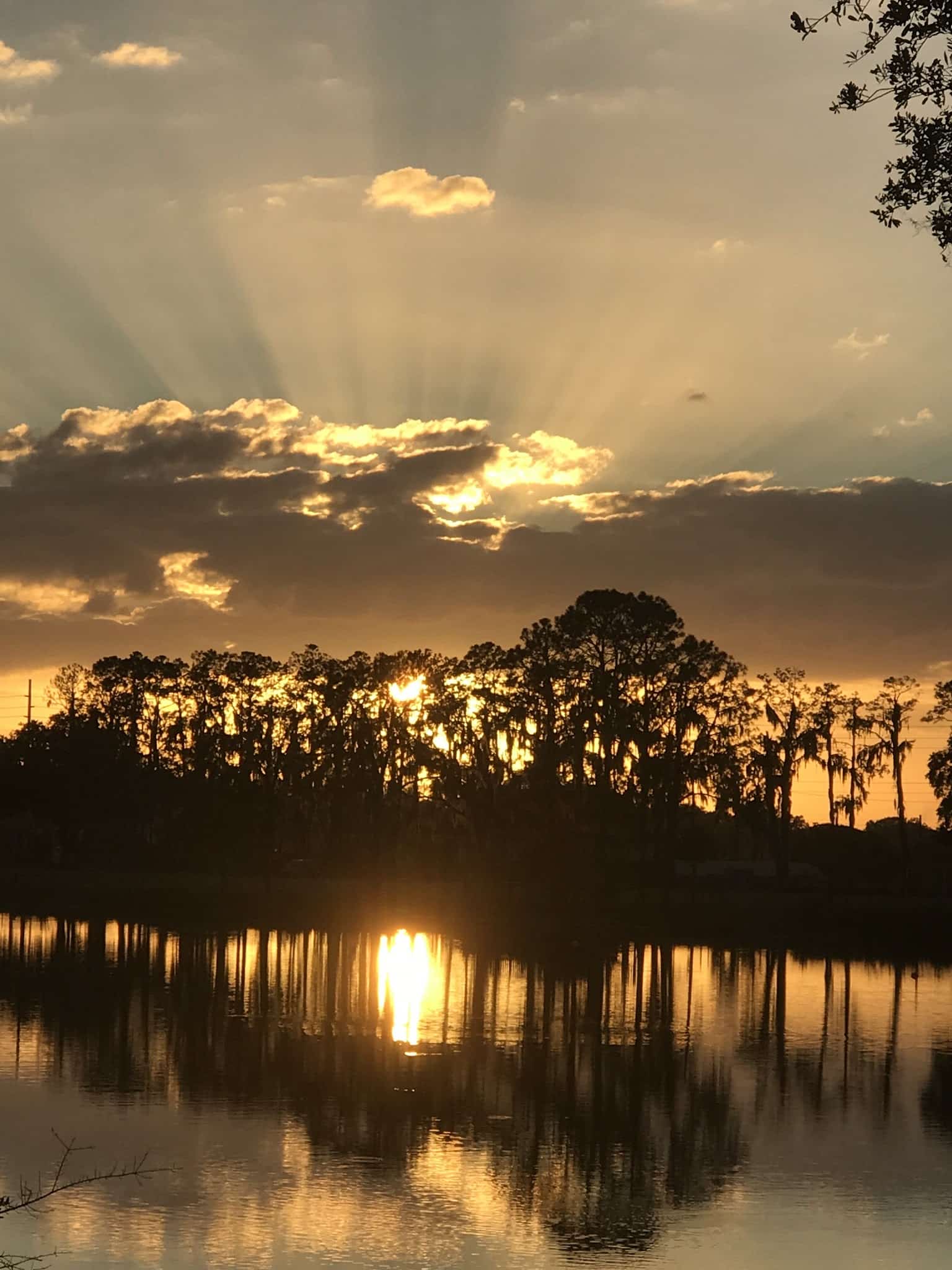 Dover District Park - Dover, FL