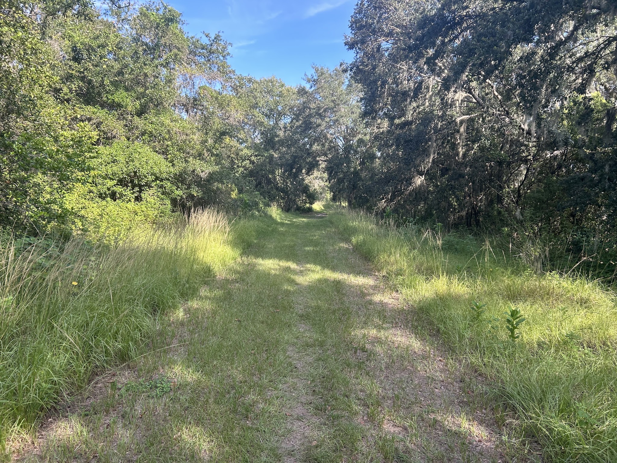 Dover Horse Trails - Dover, FL
