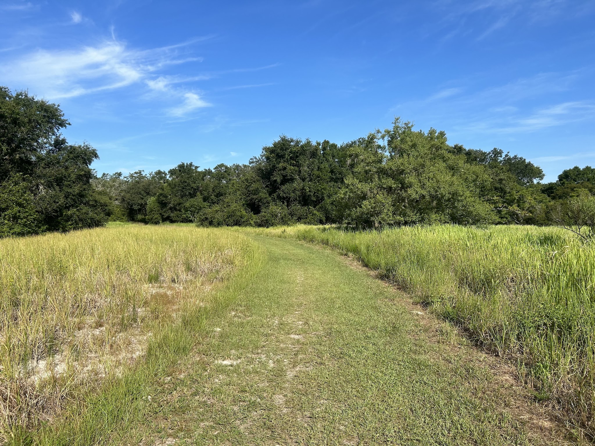 Dover Horse Trails - Dover, FL