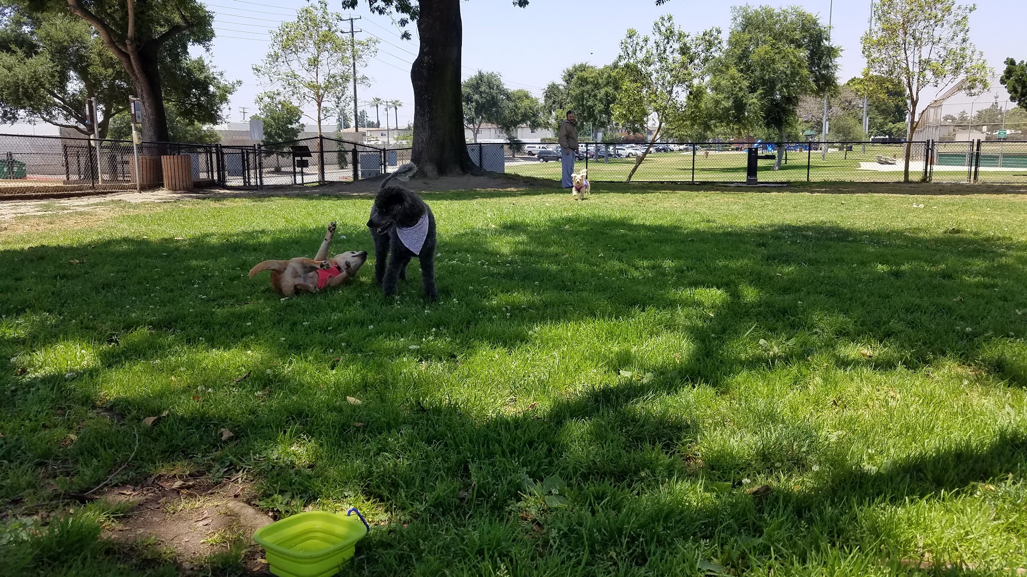 Rio San Gabriel Dog Park - Downey, CA