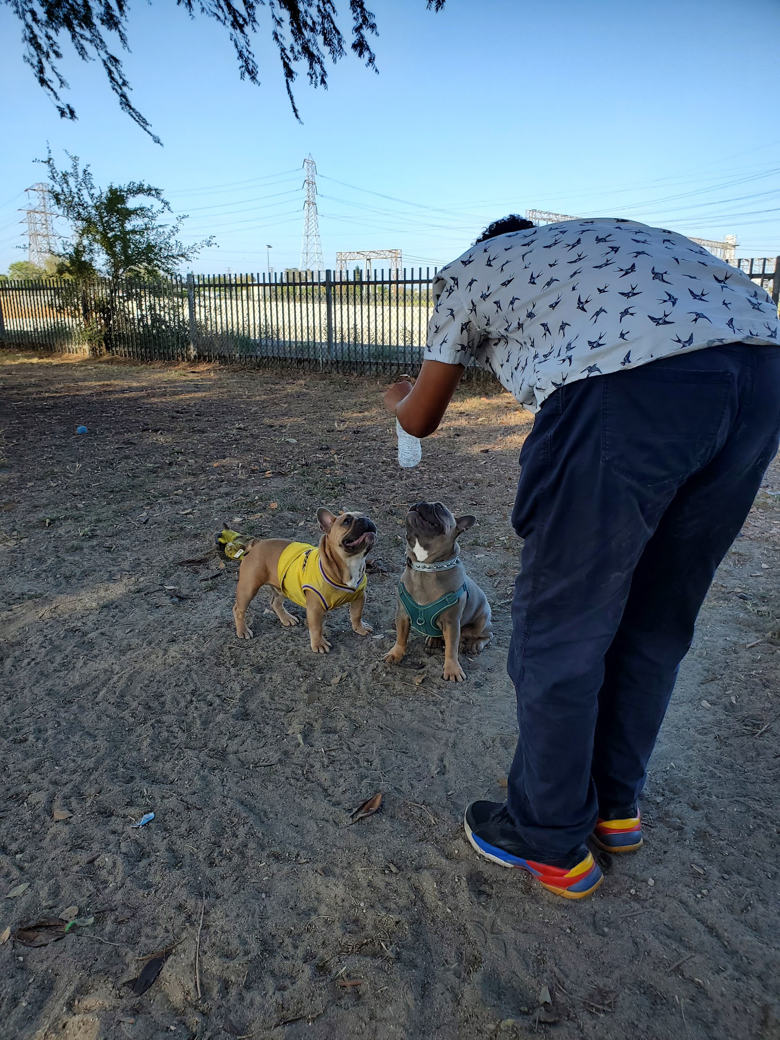 Rio San Gabriel Dog Park - Downey, CA