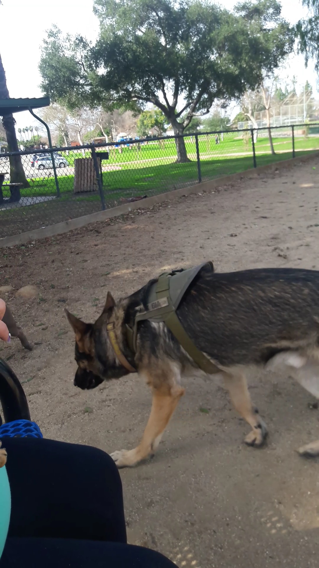Rio San Gabriel Dog Park - Downey, CA
