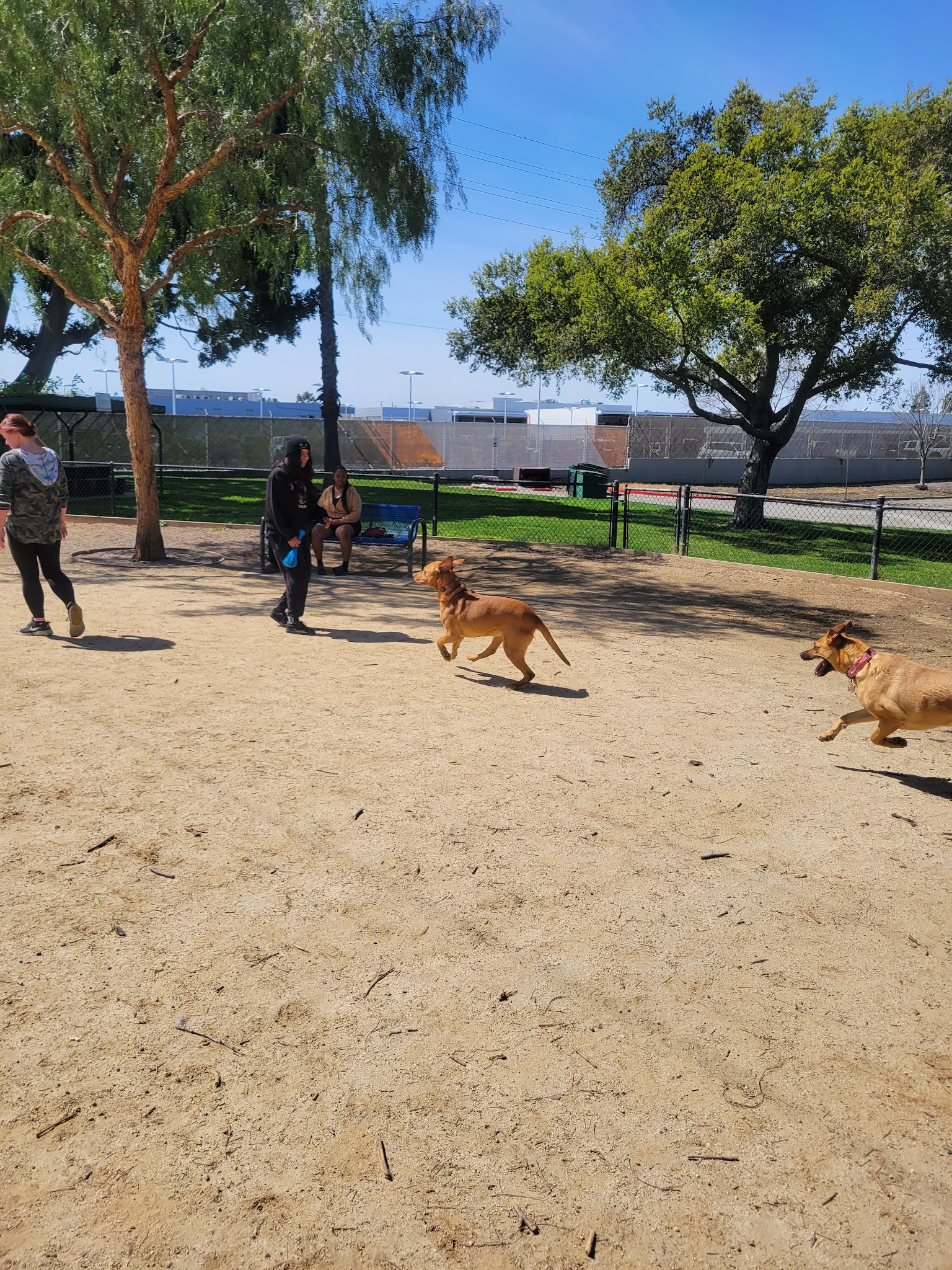 Rio San Gabriel Dog Park - Downey, CA