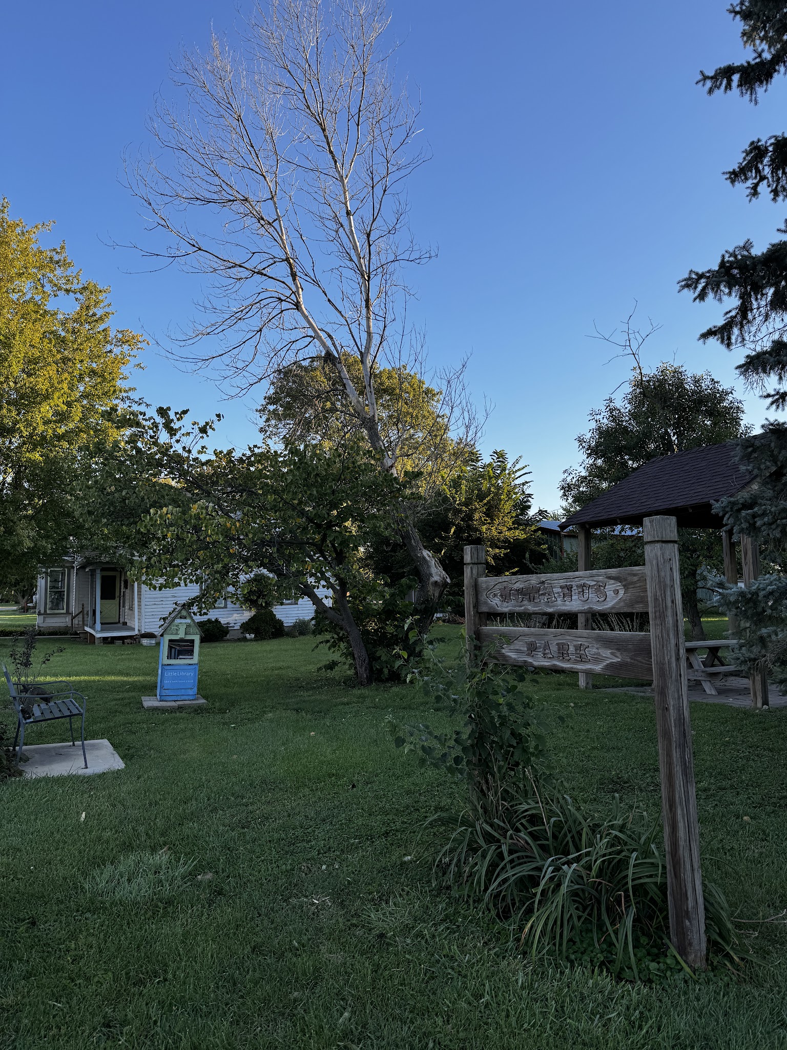 McManus Park - Downs, IL