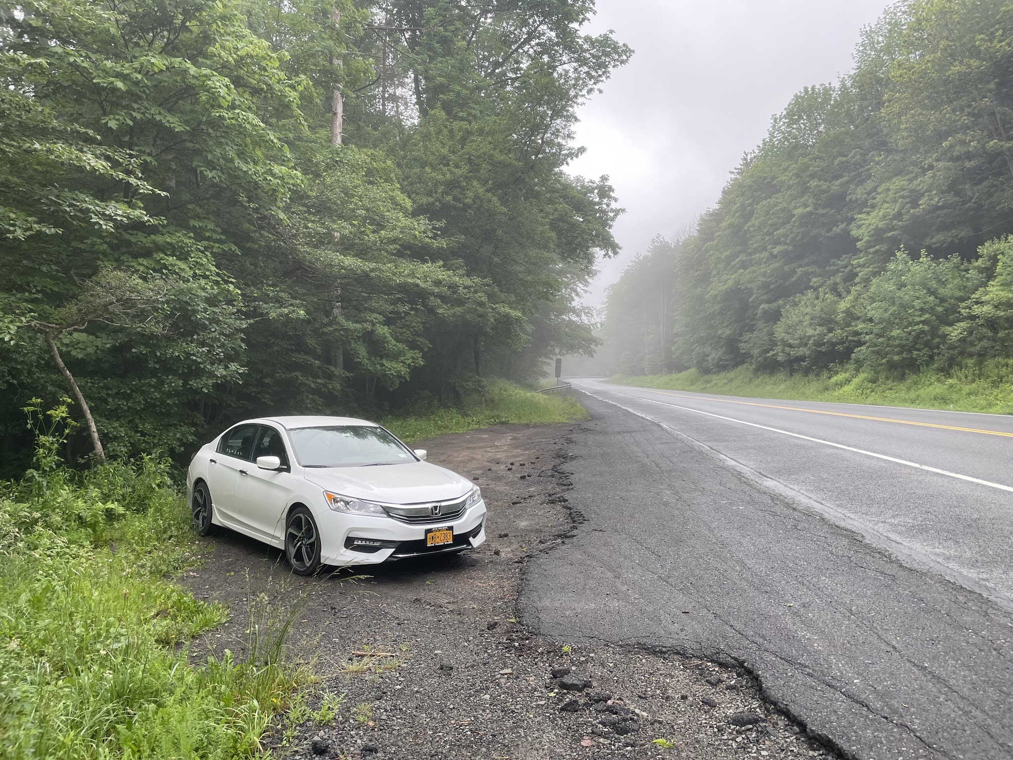 Cat Hollow Trail Head Parking - Downsville, NY