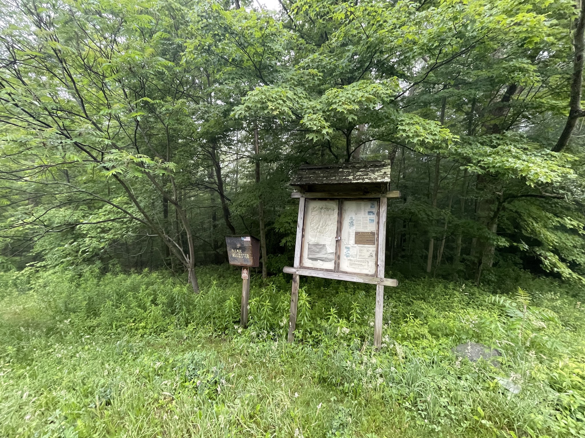 Cat Hollow Trail Head Parking - Downsville, NY