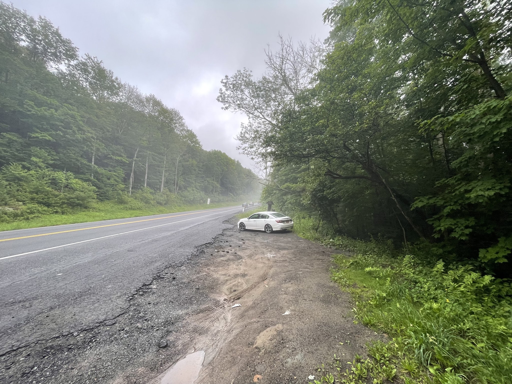 Cat Hollow Trail Head Parking - Downsville, NY