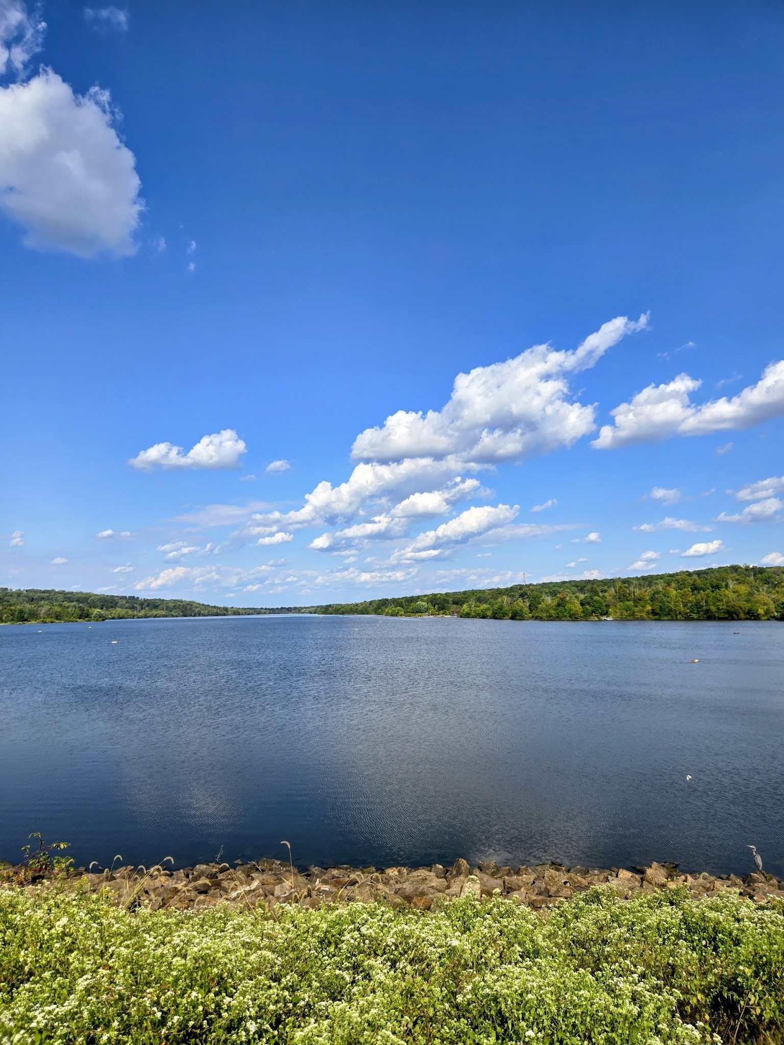 Peace Valley Park - Doylestown, PA