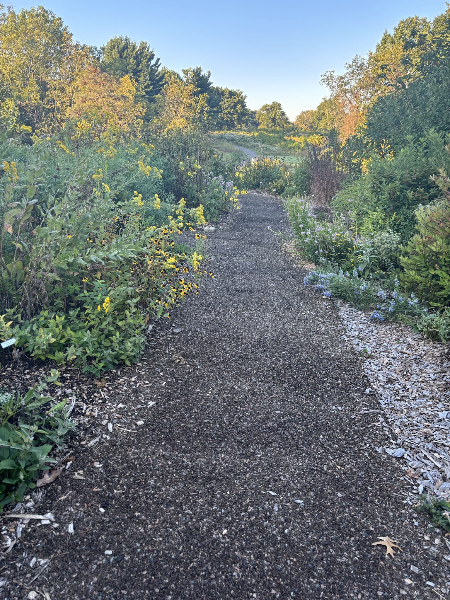 Twining Valley Park - Dresher, PA