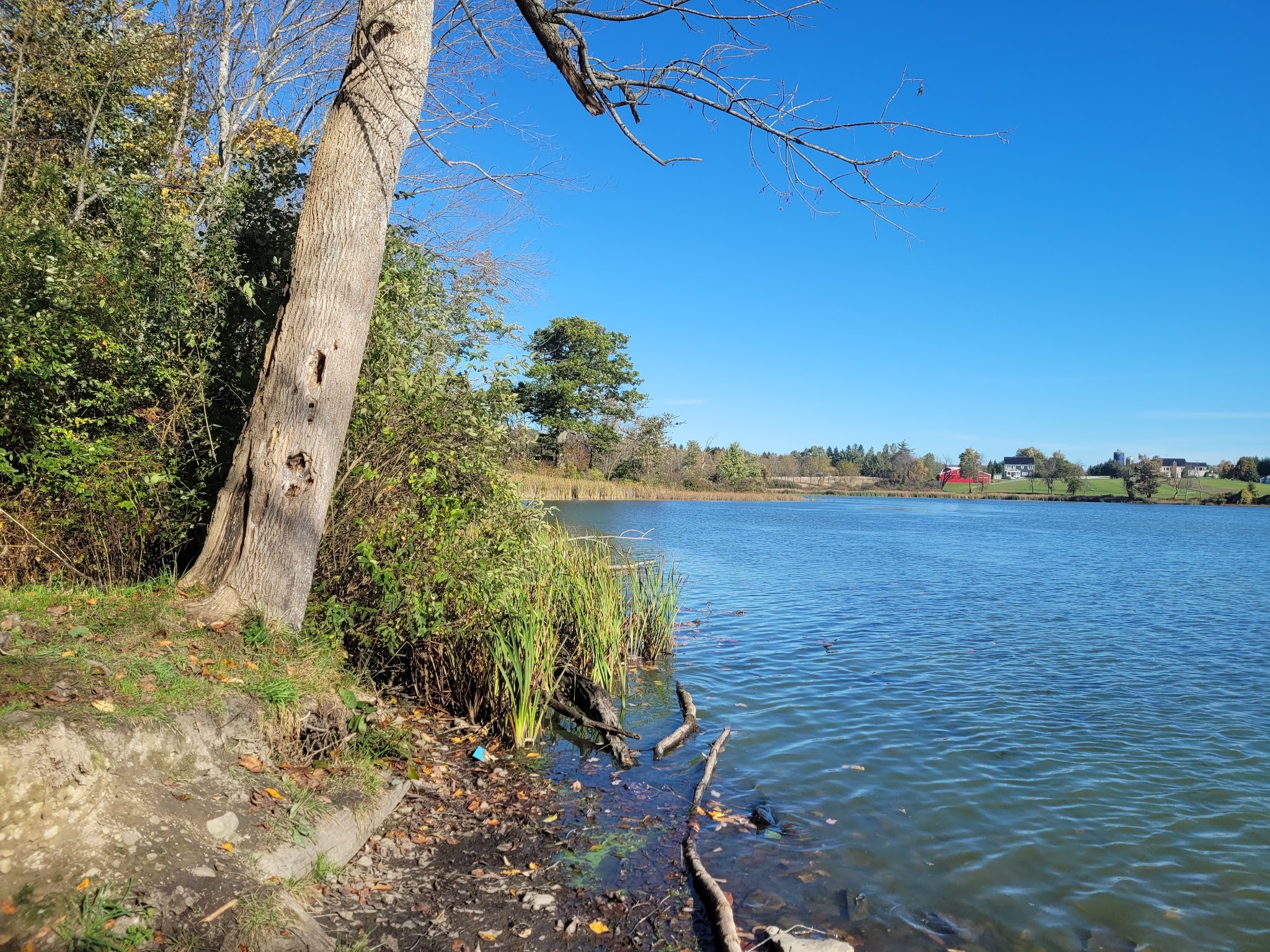 Dryden Lake Multiple Use Area - Dryden, NY