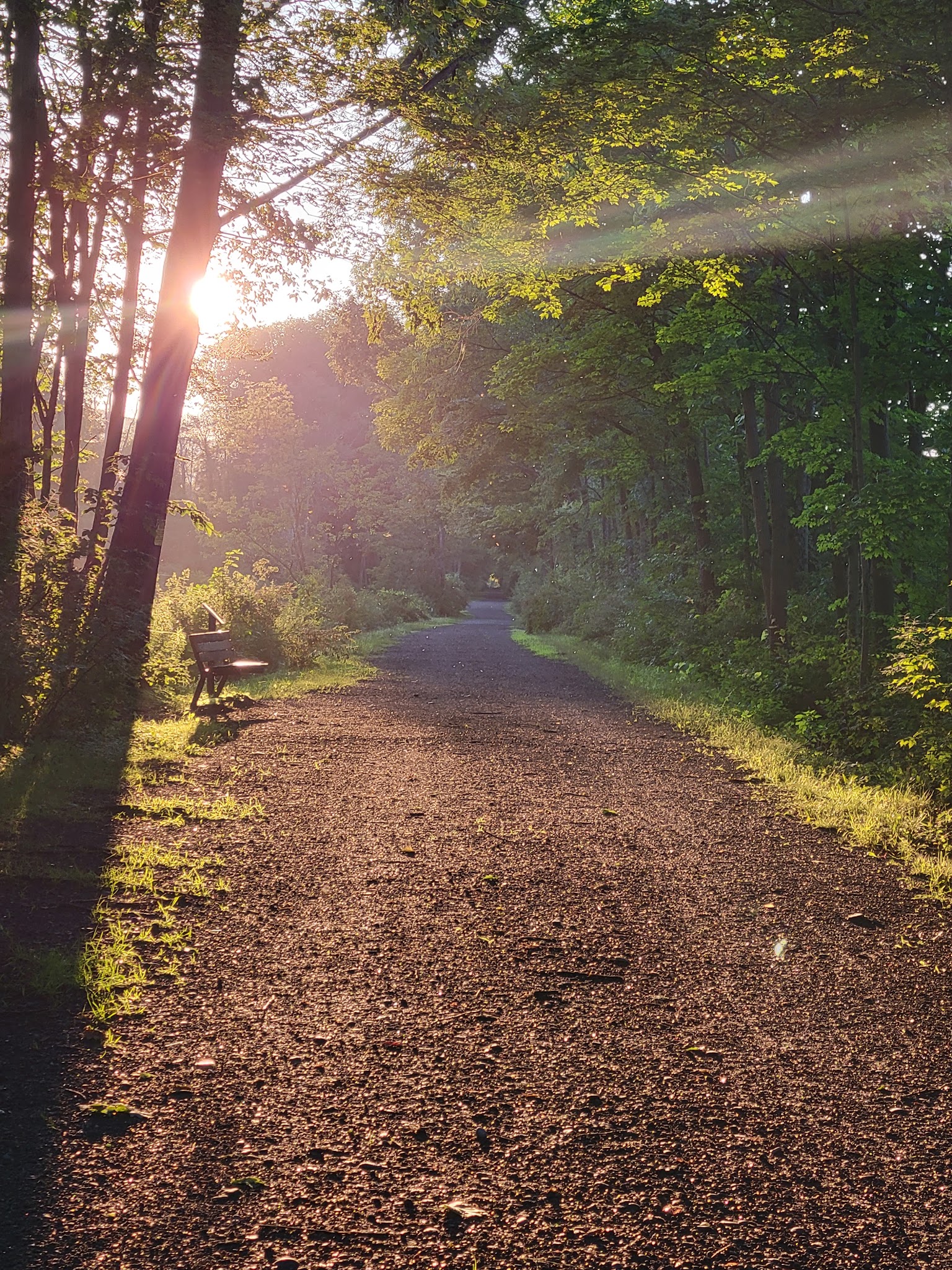 Dryden Lake Multiple Use Area - Dryden, NY