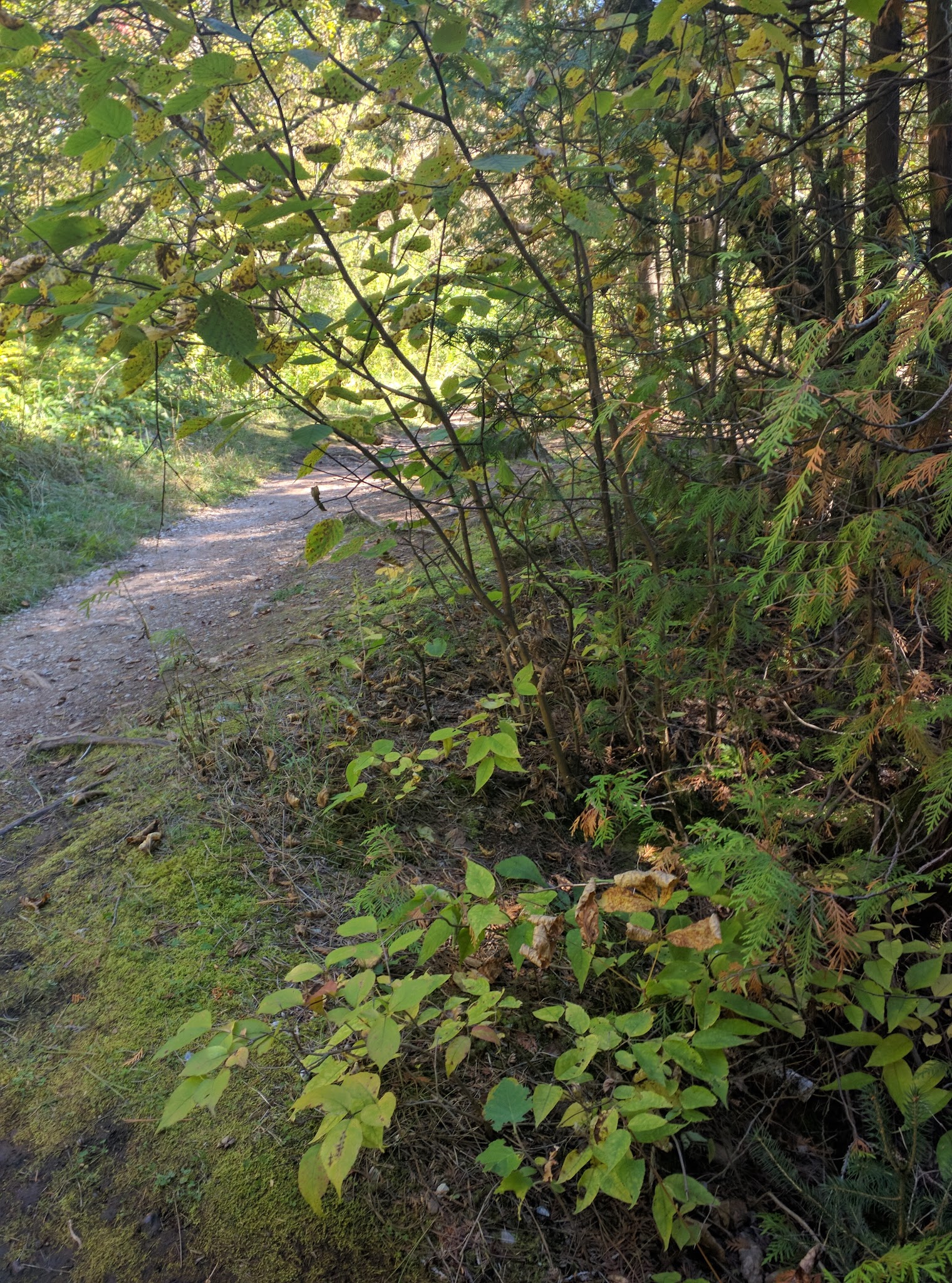 Munger Park - Duluth, MN