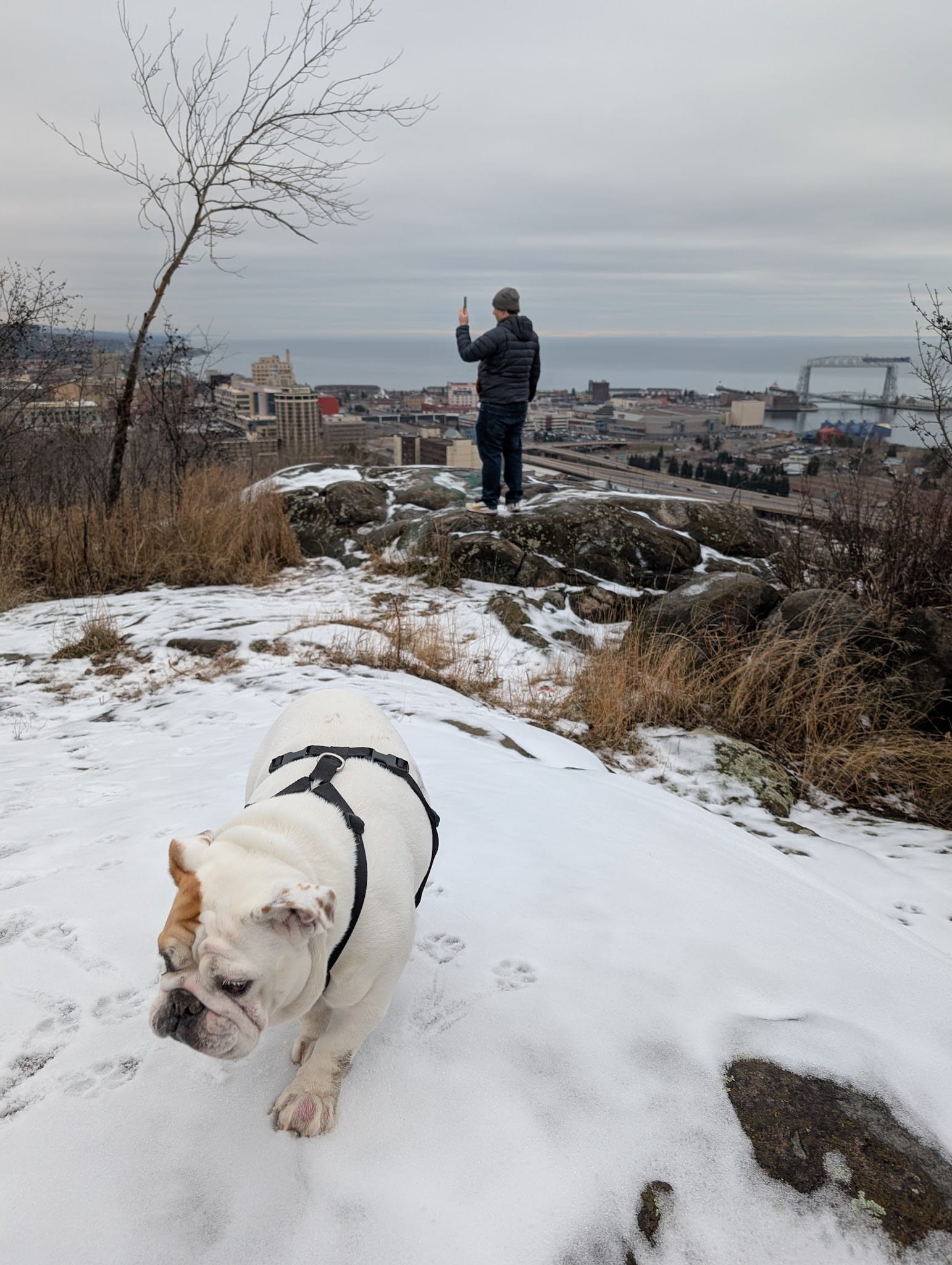 Observation Park - Duluth, MN