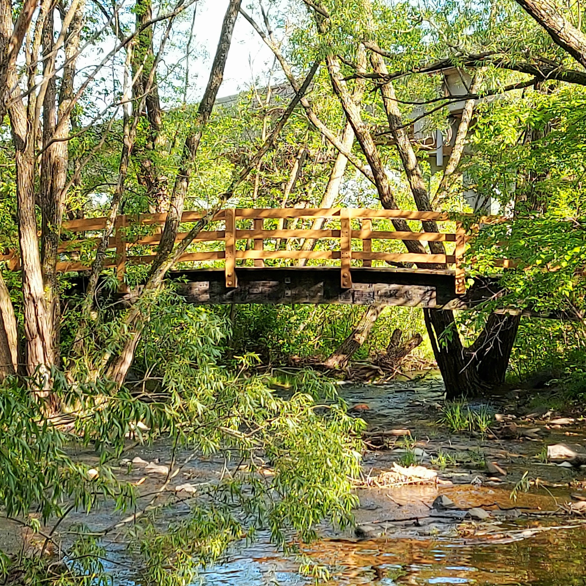 Keene Creek Park - Duluth, MN