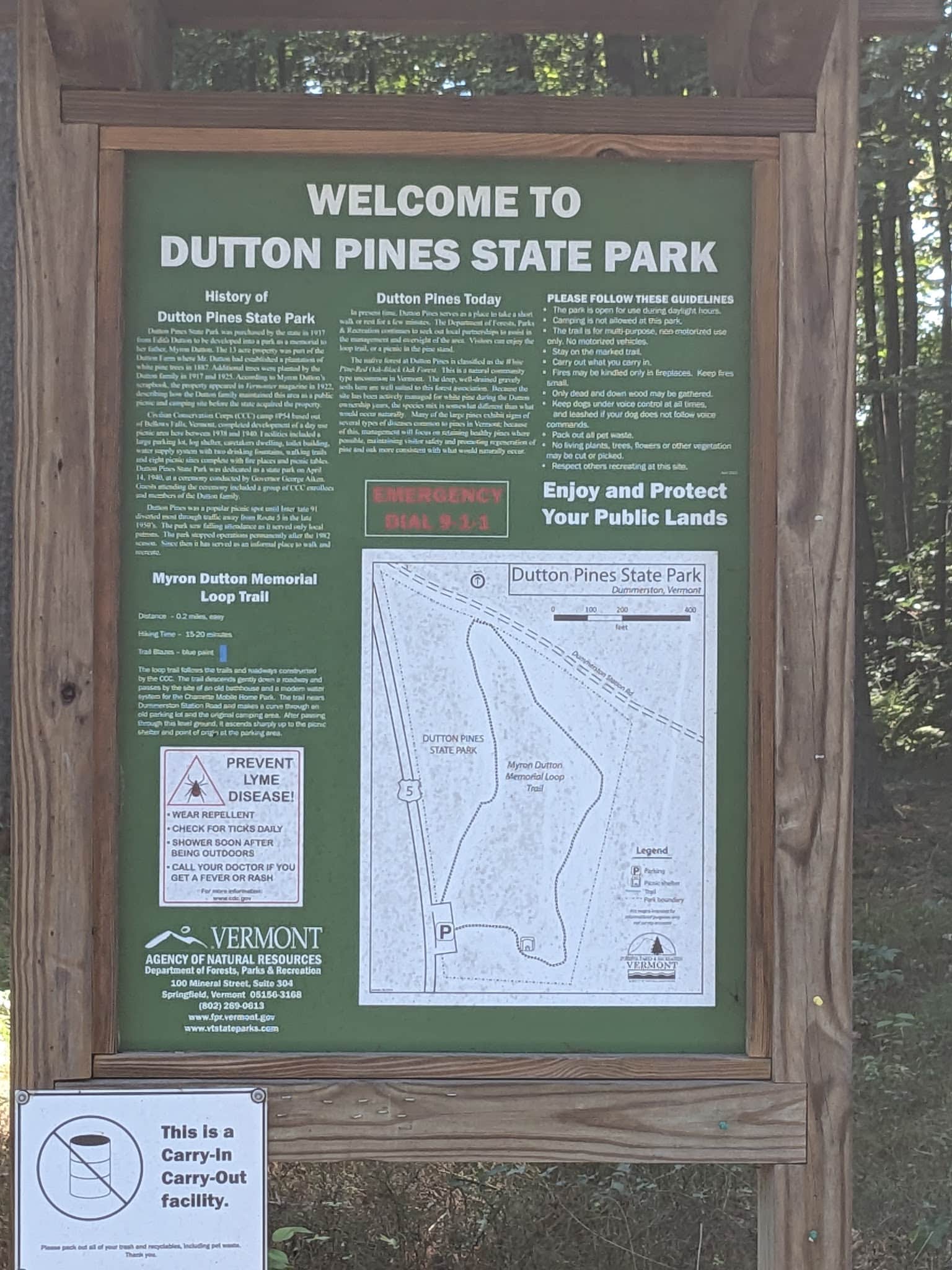 Dutton Pines State Park - Dummerston, VT