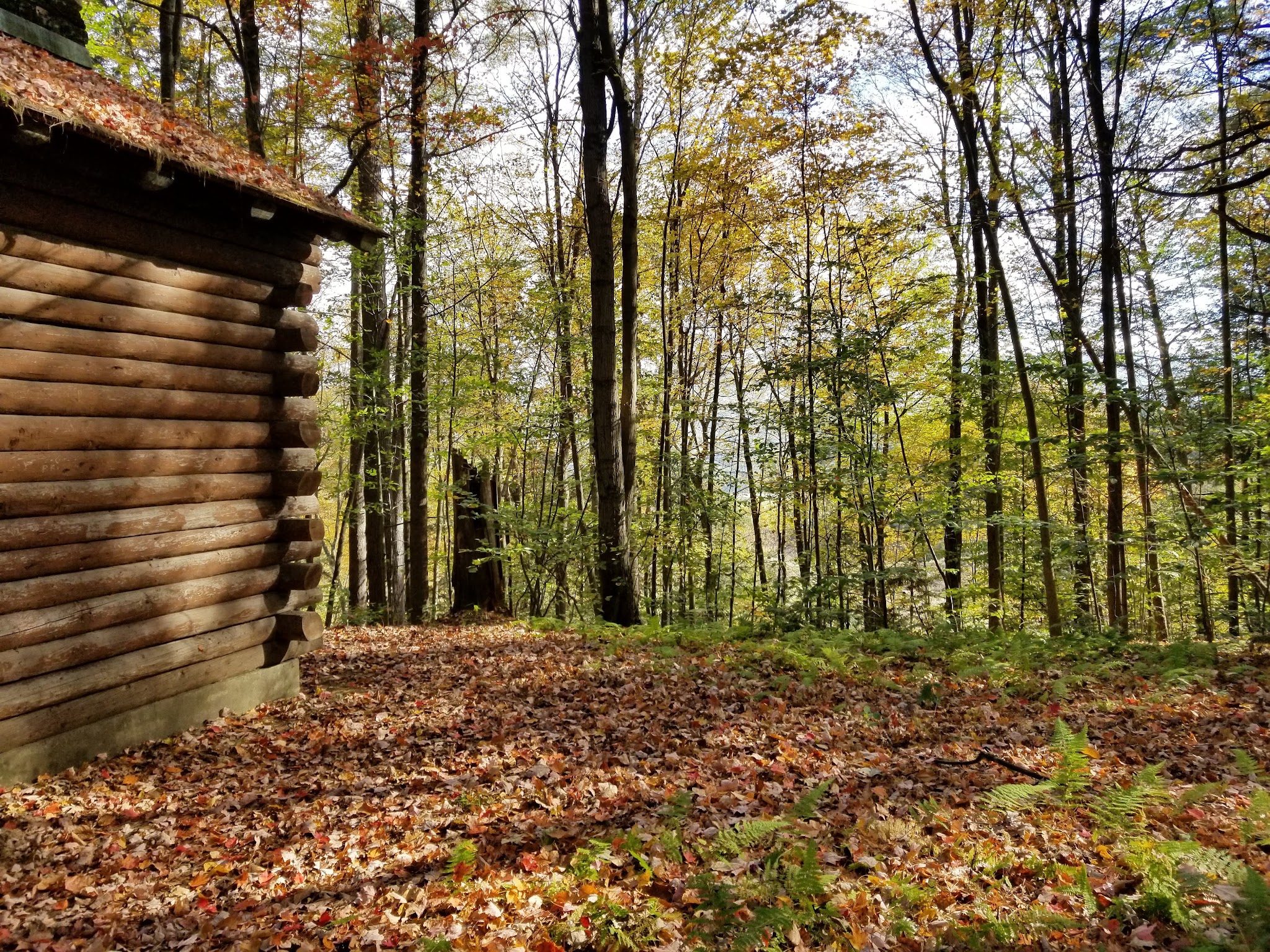 Dutton Pines State Park - Dummerston, VT