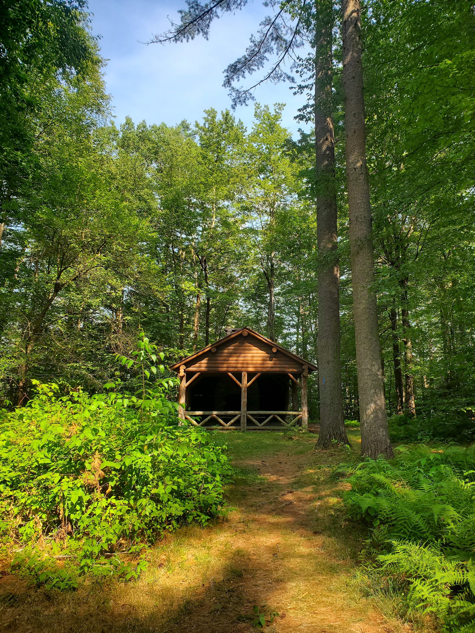 Dutton Pines State Park - Dummerston, VT