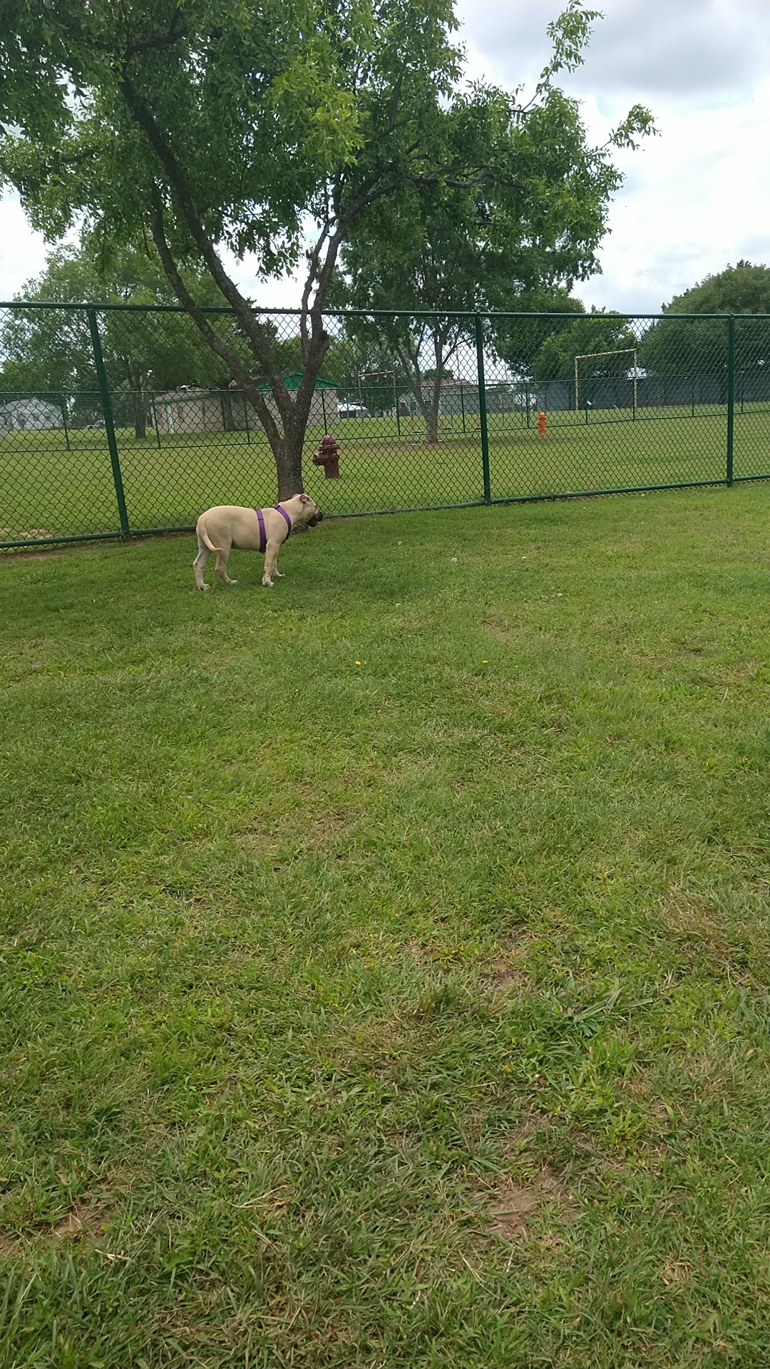 Bark Park - Duncan, OK