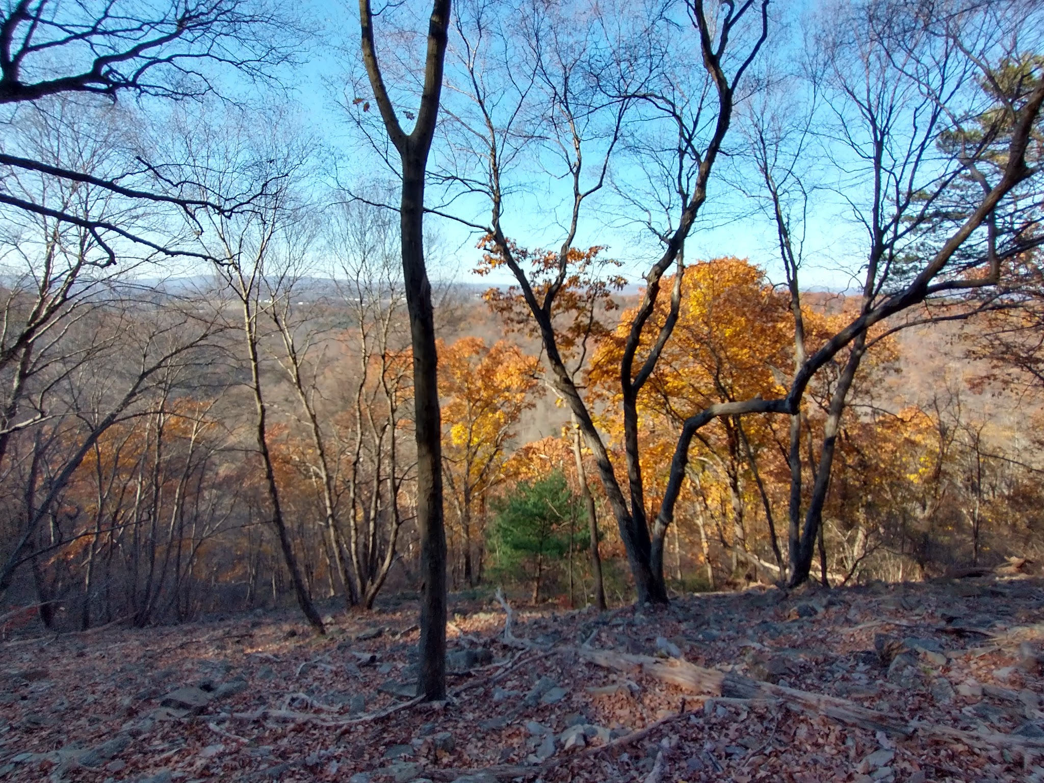 Hawk Rock Overlook - Duncannon, PA
