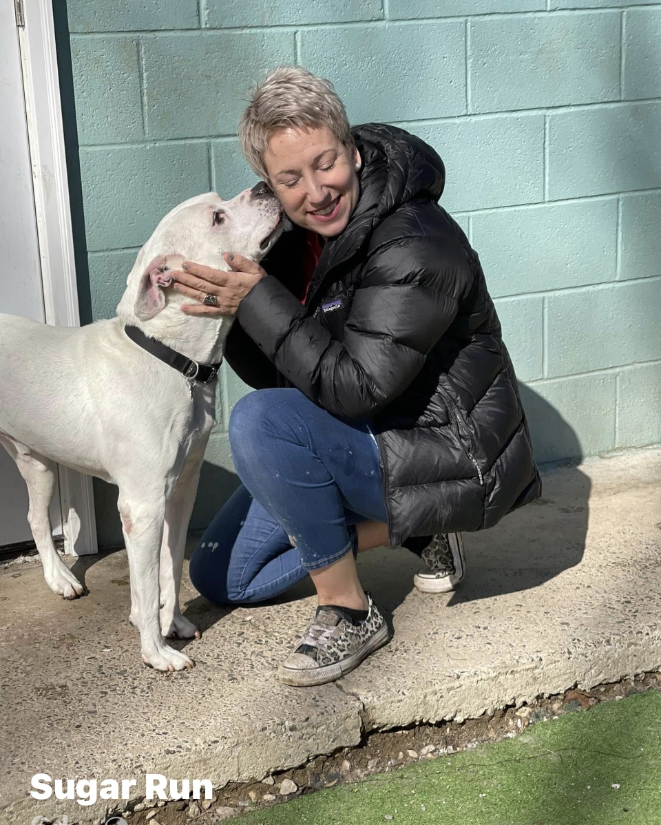 Sugar Run Pet Resort - Duncansville, PA