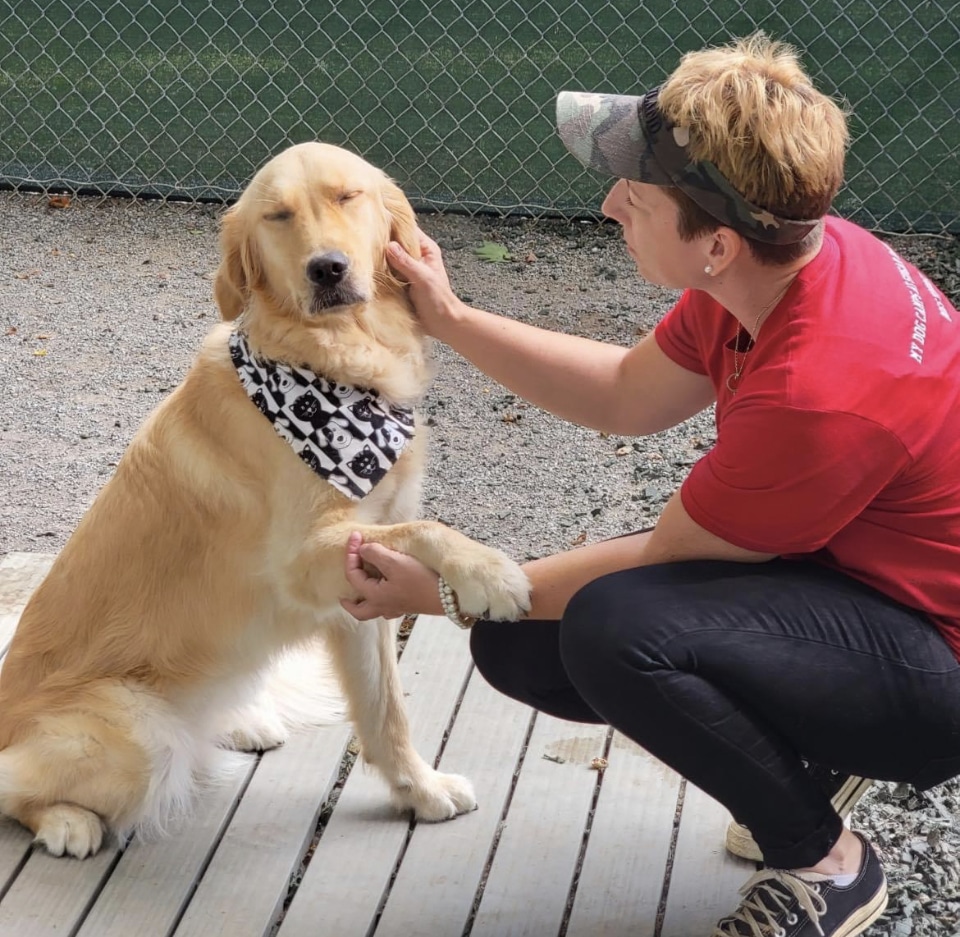 Sugar Run Pet Resort - Duncansville, PA