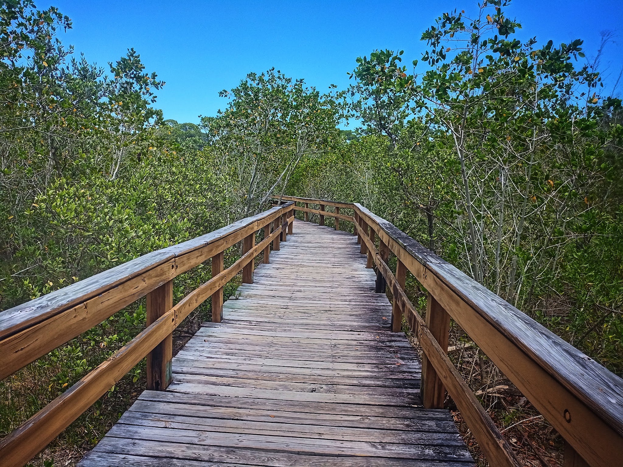 Hammock Park - Dunedin, FL