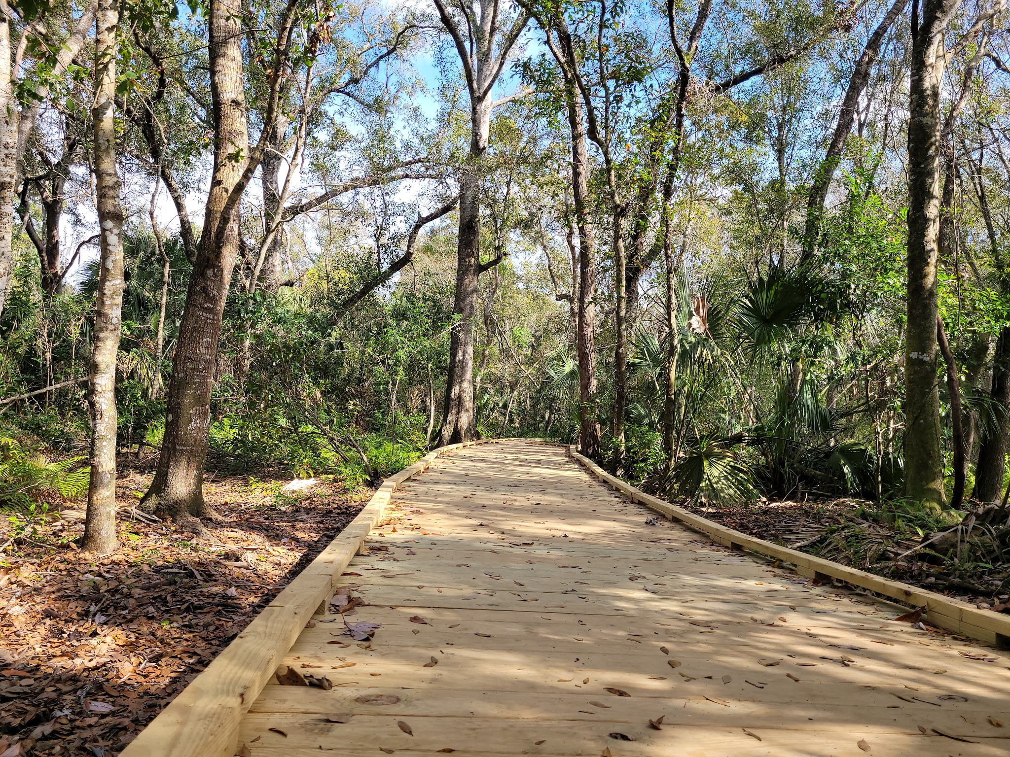 Hammock Park - Dunedin, FL