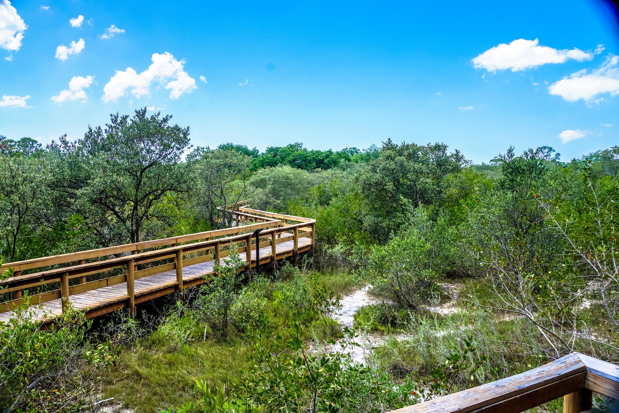 Hammock Park - Dunedin, FL