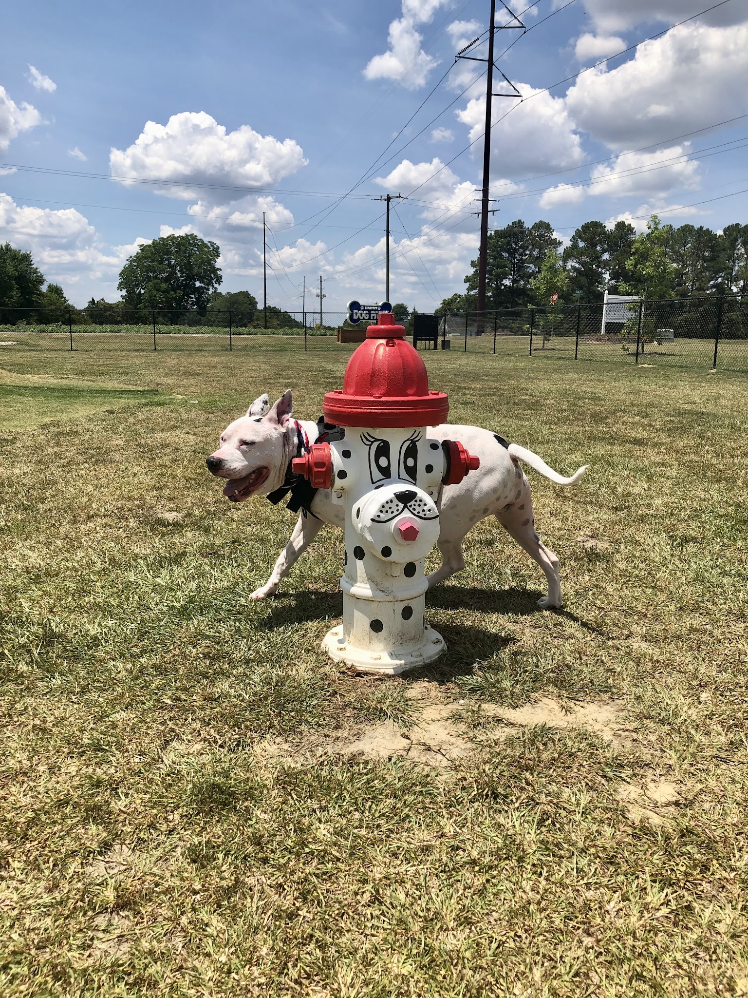 Dunn Dog Park - Dunn, NC