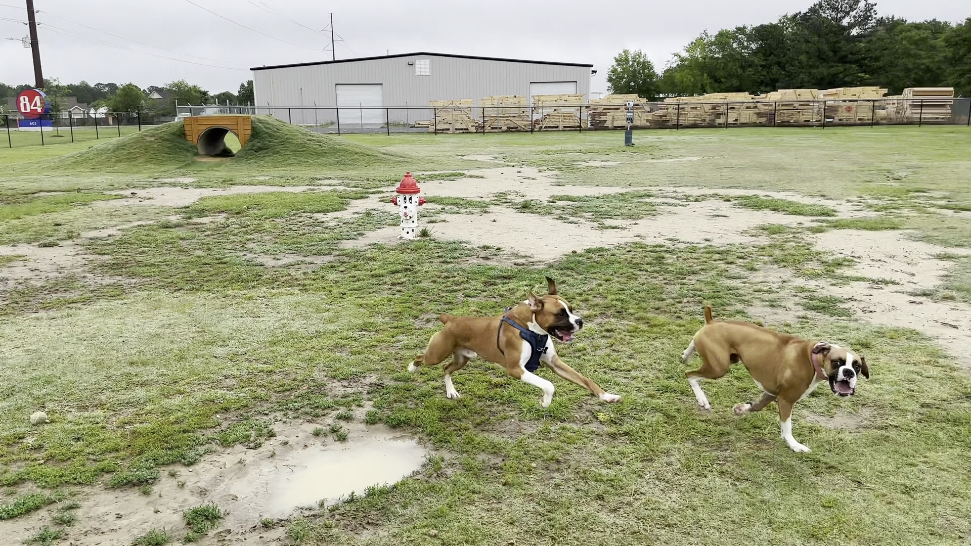 Dunn Dog Park - Dunn, NC