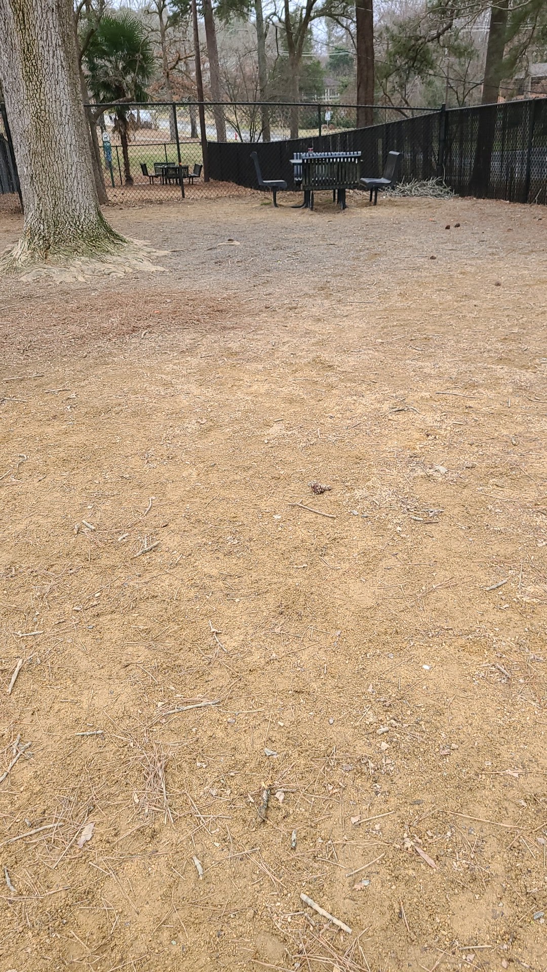 PetSafe Dog Park at Duke Park - Durham, NC