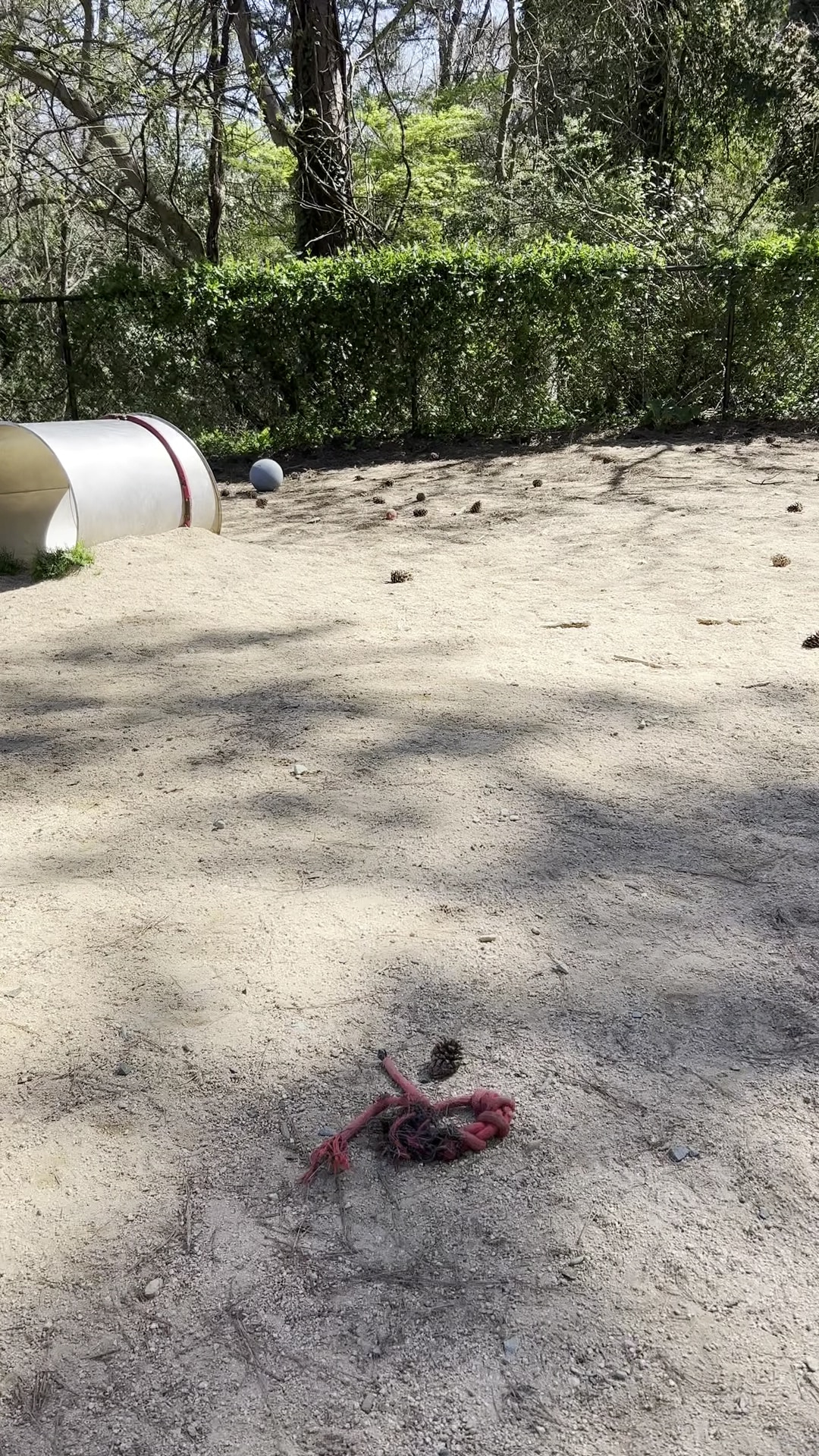 PetSafe Dog Park at Duke Park - Durham, NC