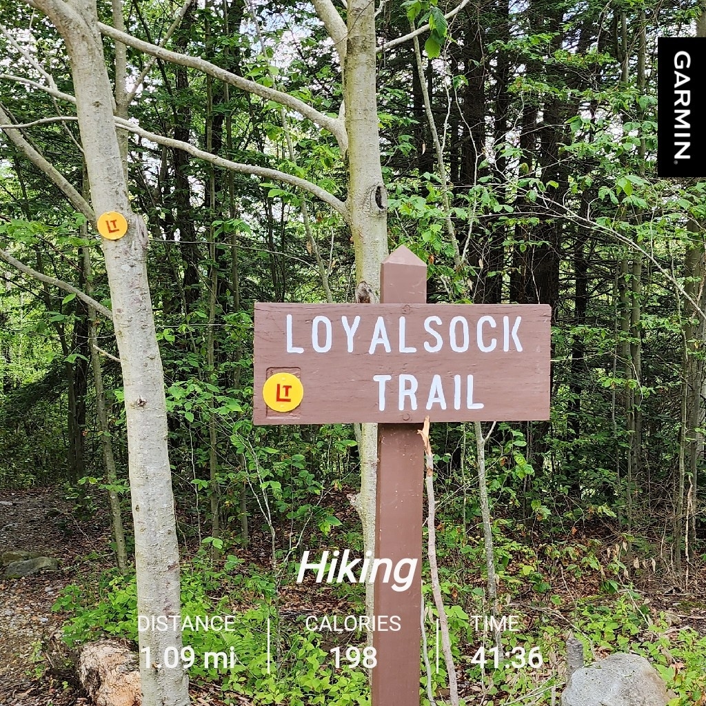 Loyalsock Trailhead Dutchman Falls - Dushore, PA