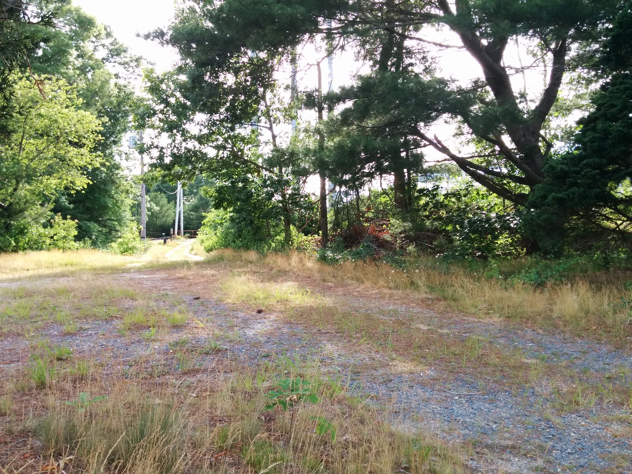 Crowell Conservation Area - Duxbury, MA